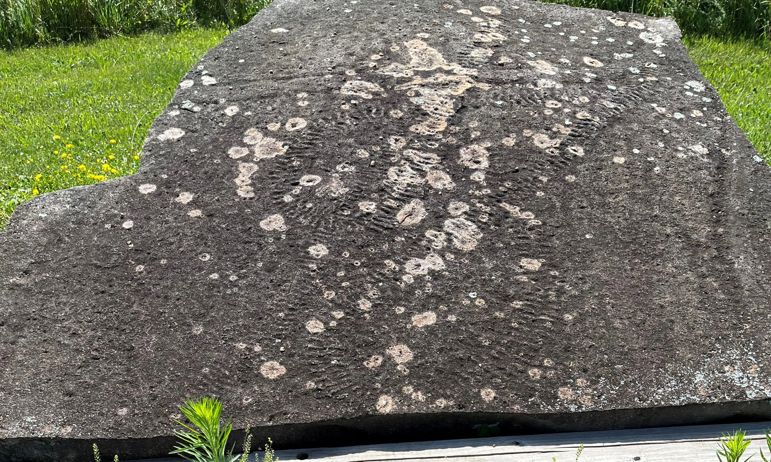 Summer Fun at the Mead: Geology