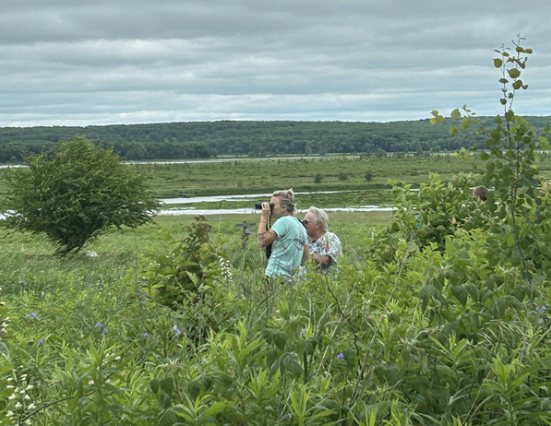 Summer Fun at the Mead: Birding Basics