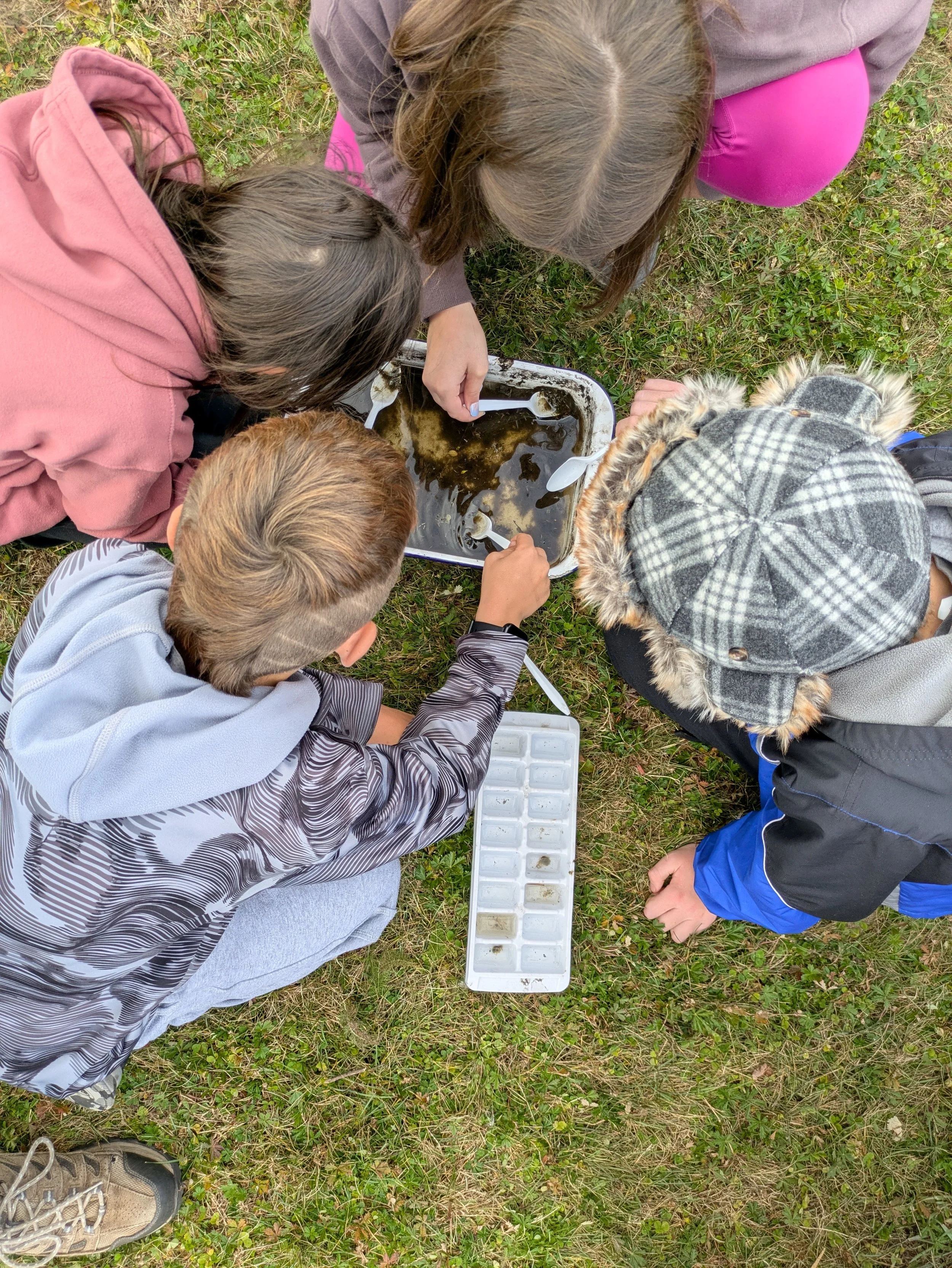 Summer Fun at the Mead: Pond Study