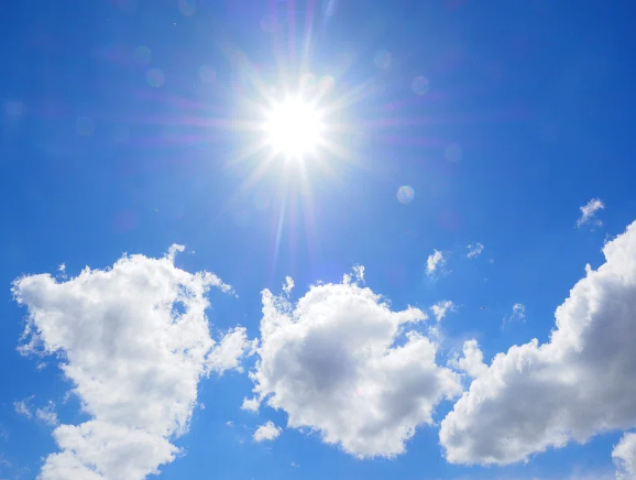 Summer Fun at the Mead: Solar Cooking