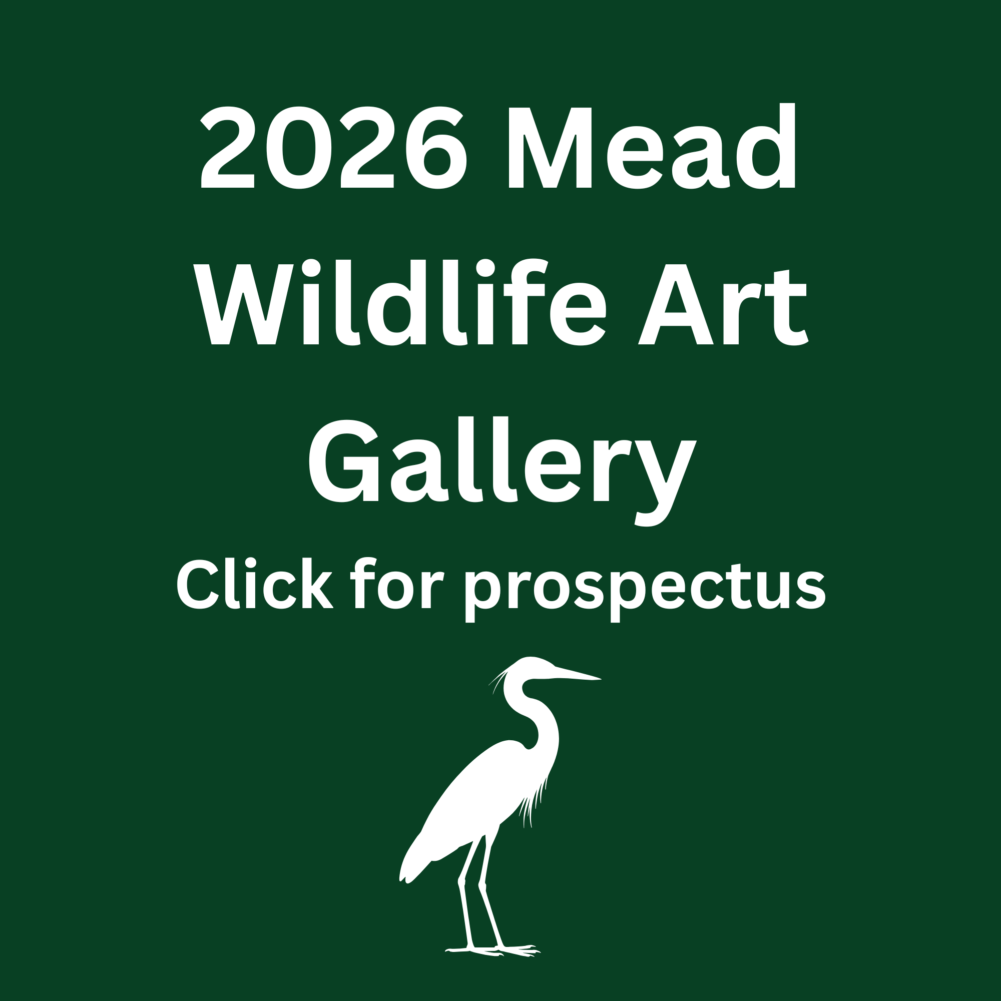 Wildlife Art Gallery Submissions Open
