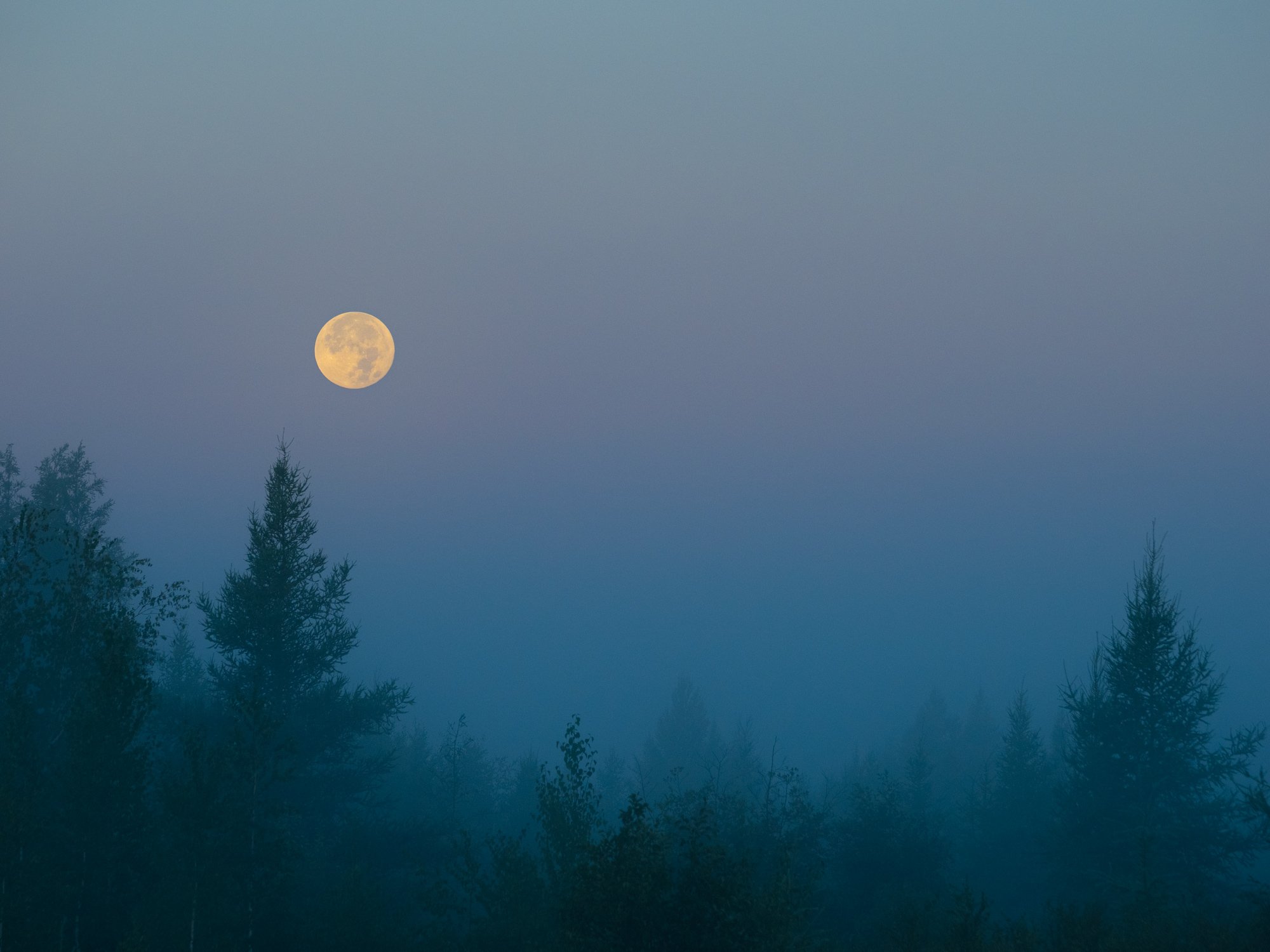 August Blue Moon During Blue Hour by Peter A Sanderson