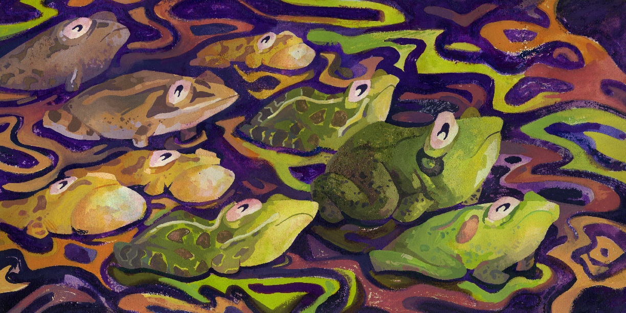 Symphony of the Frogs by Natalie Vilter