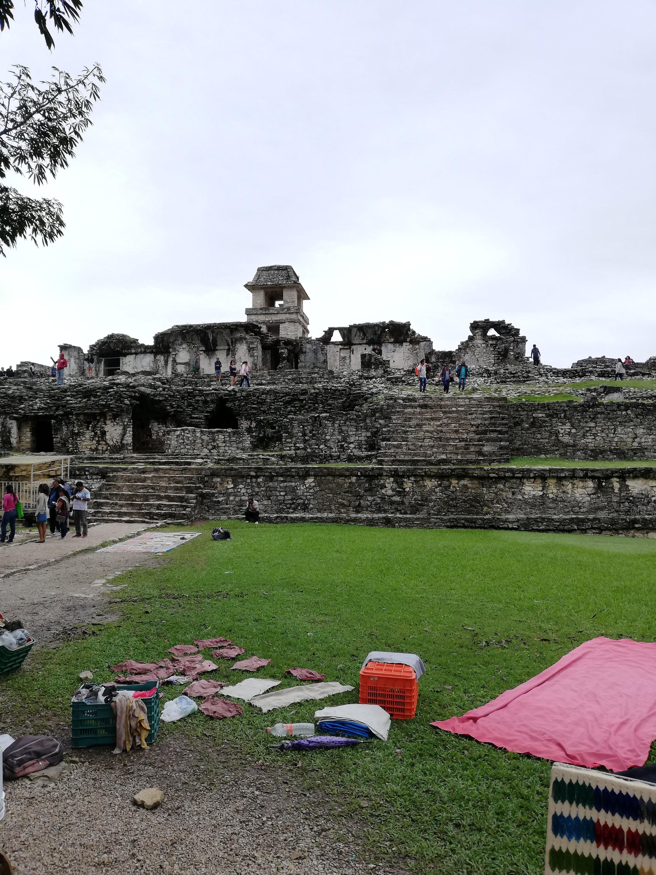 IMG_20181215_152217.jpg