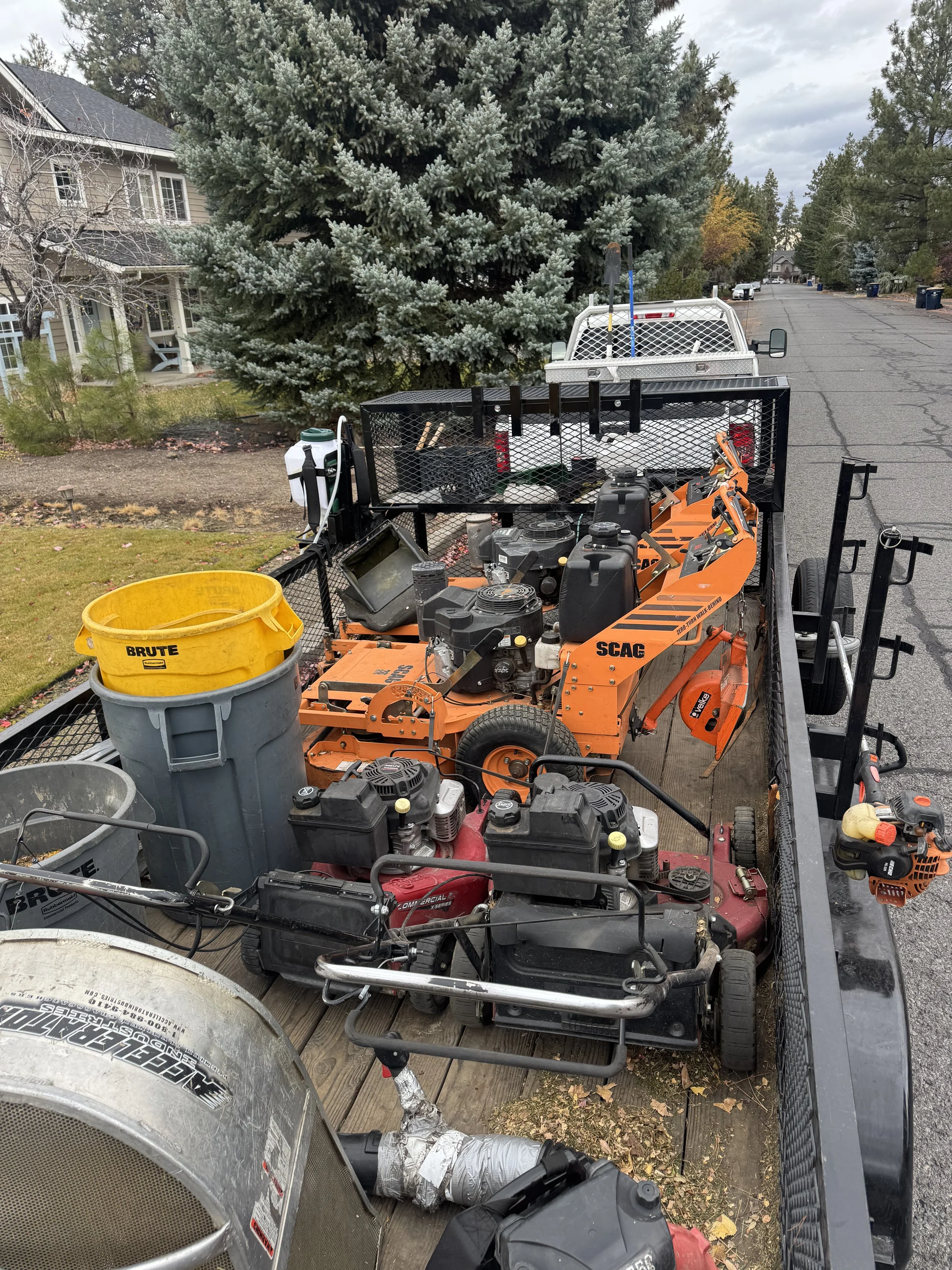 Growth Wrap (Full Wrap)