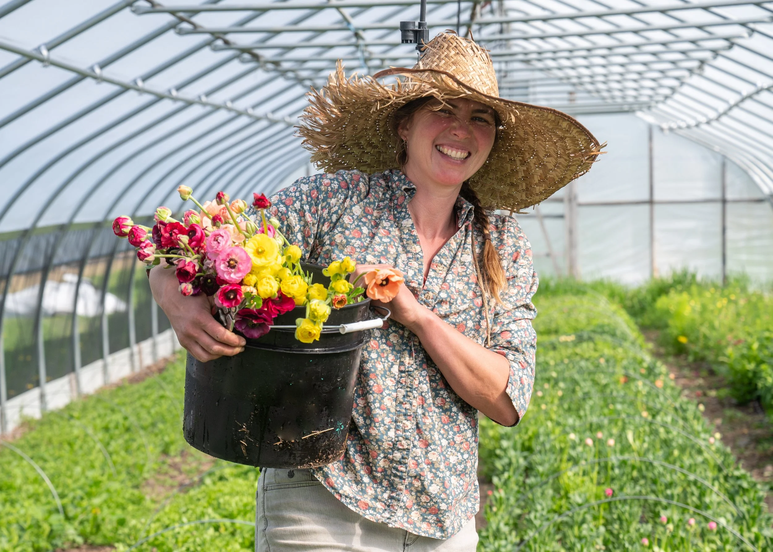 Adrienne Lee is standing inside a high tunnel greenhouse in a large straw hat and floral shirt holding a bucket of flowers she has just harvested on her farm in Knox, Maine.