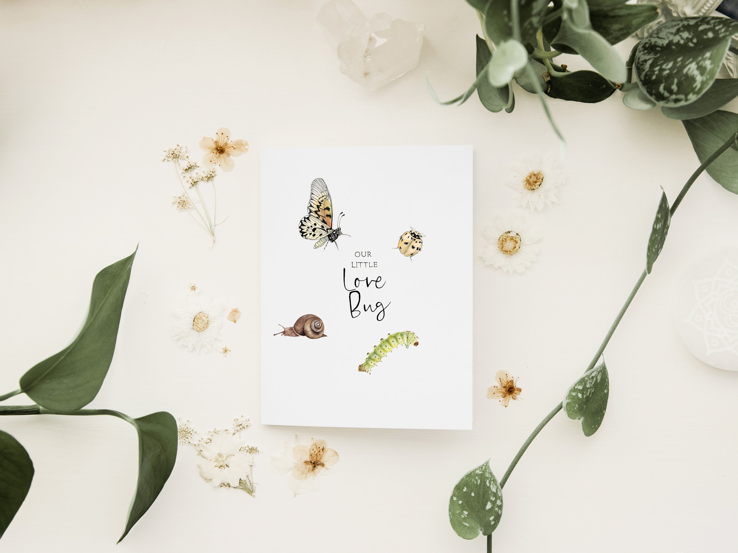 Our Little Love Bug.jpg