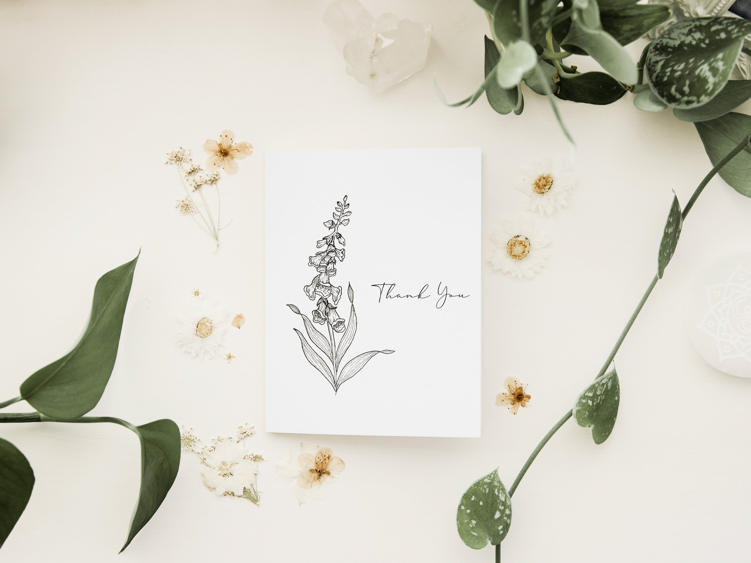 Foxglove Thank You.jpg