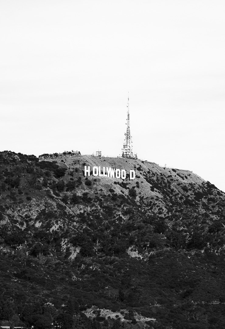 "Hollywood Hills"