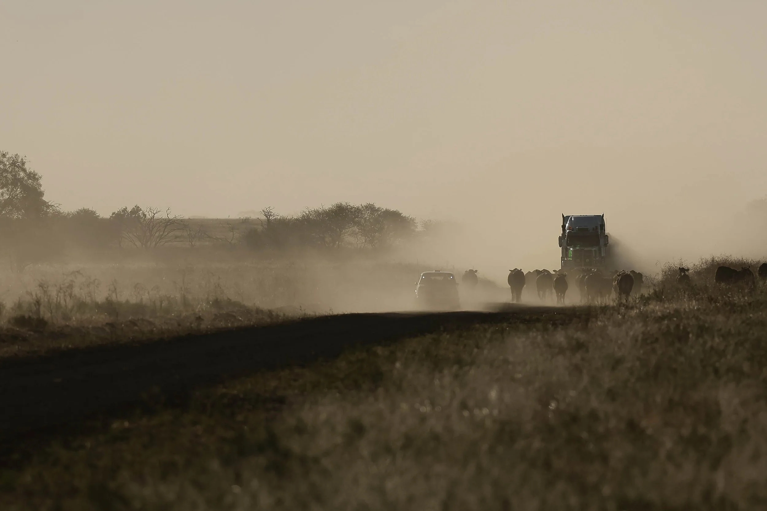 Day7 Longreach_Julia Creek AMP-4181-2.jpg