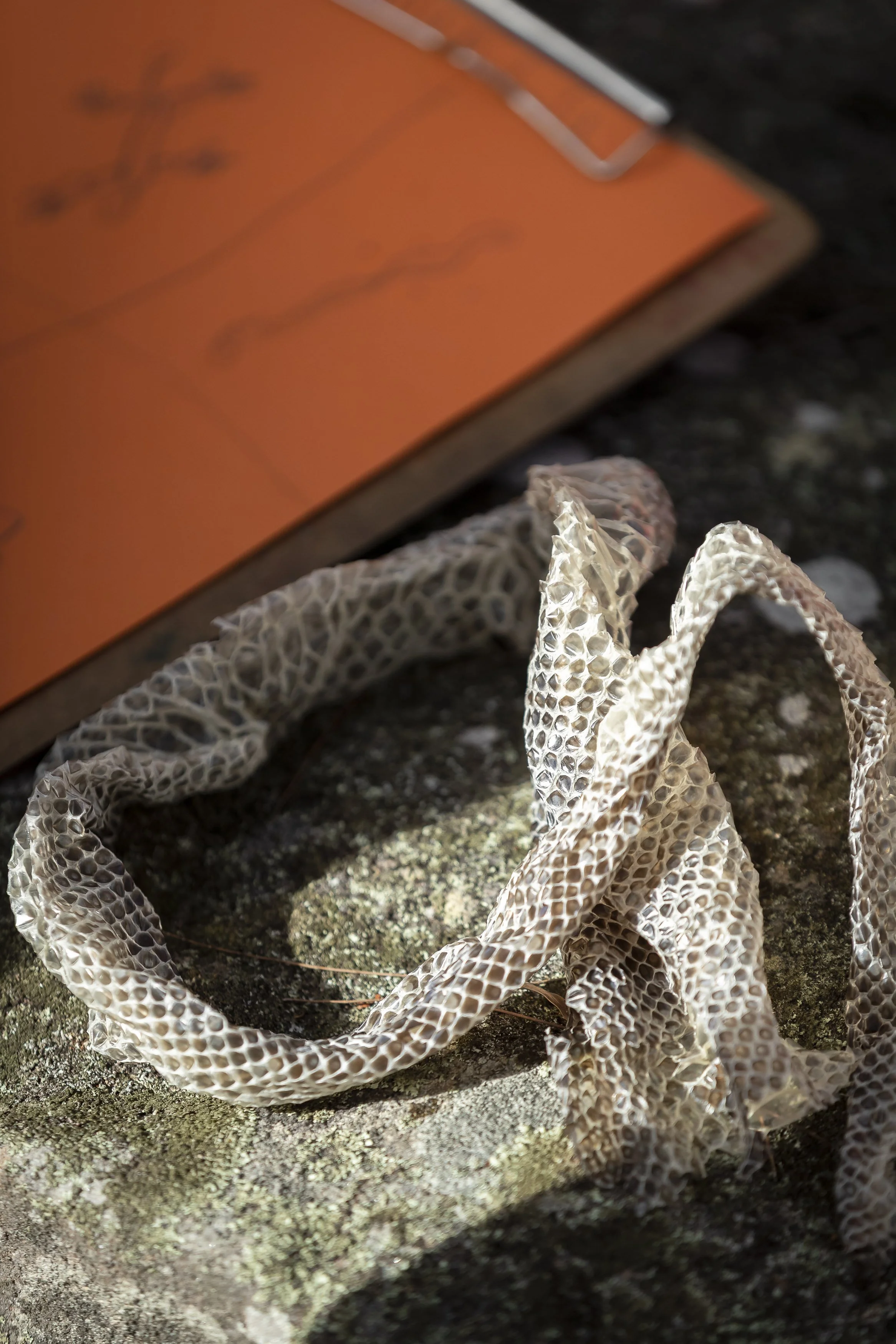 Ku_Ring_Gai Holiday Program-6758.jpg