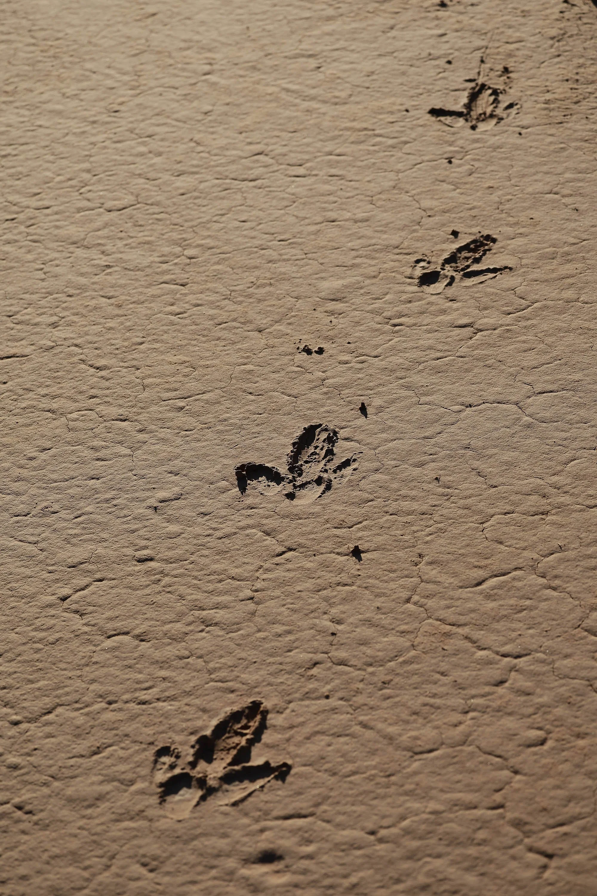 Day2 Dubbo_Bourke AMP-6271-2.jpg