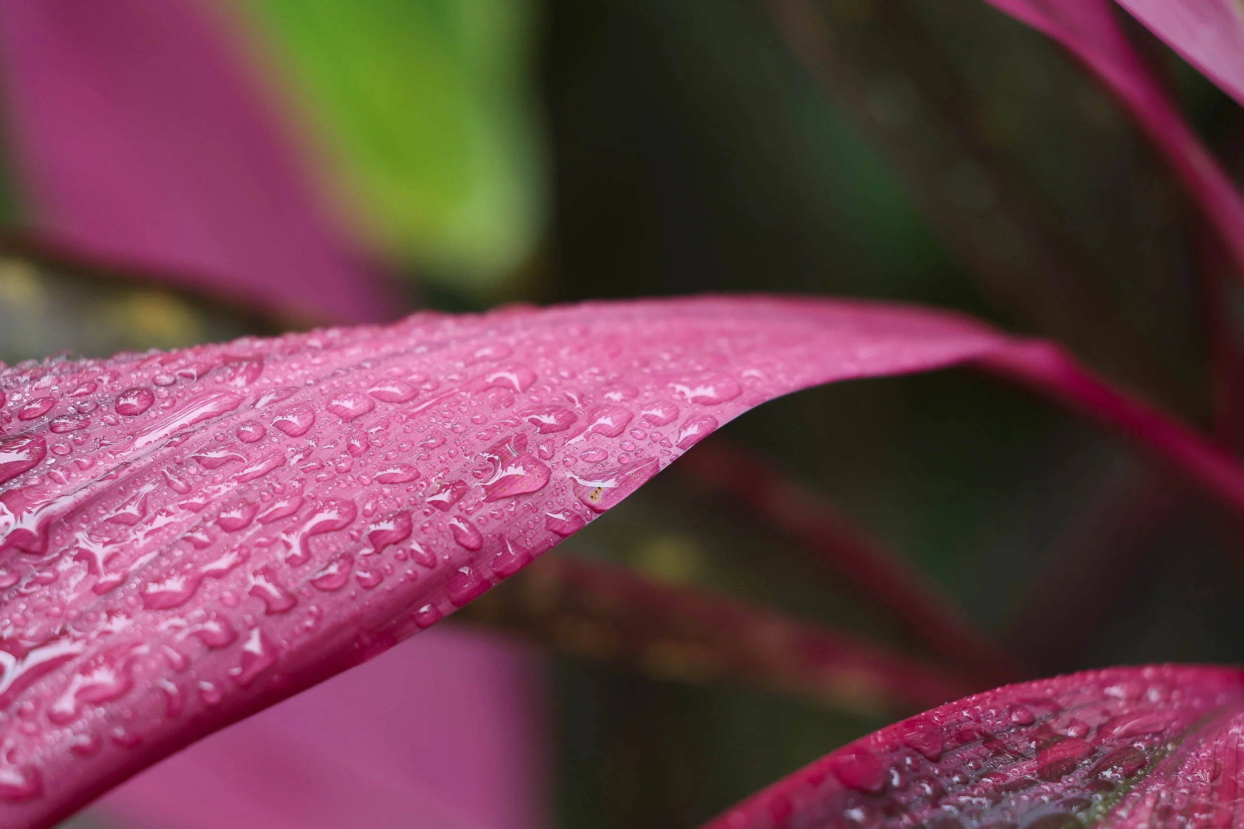 MGA Conference 2025-1952.jpg