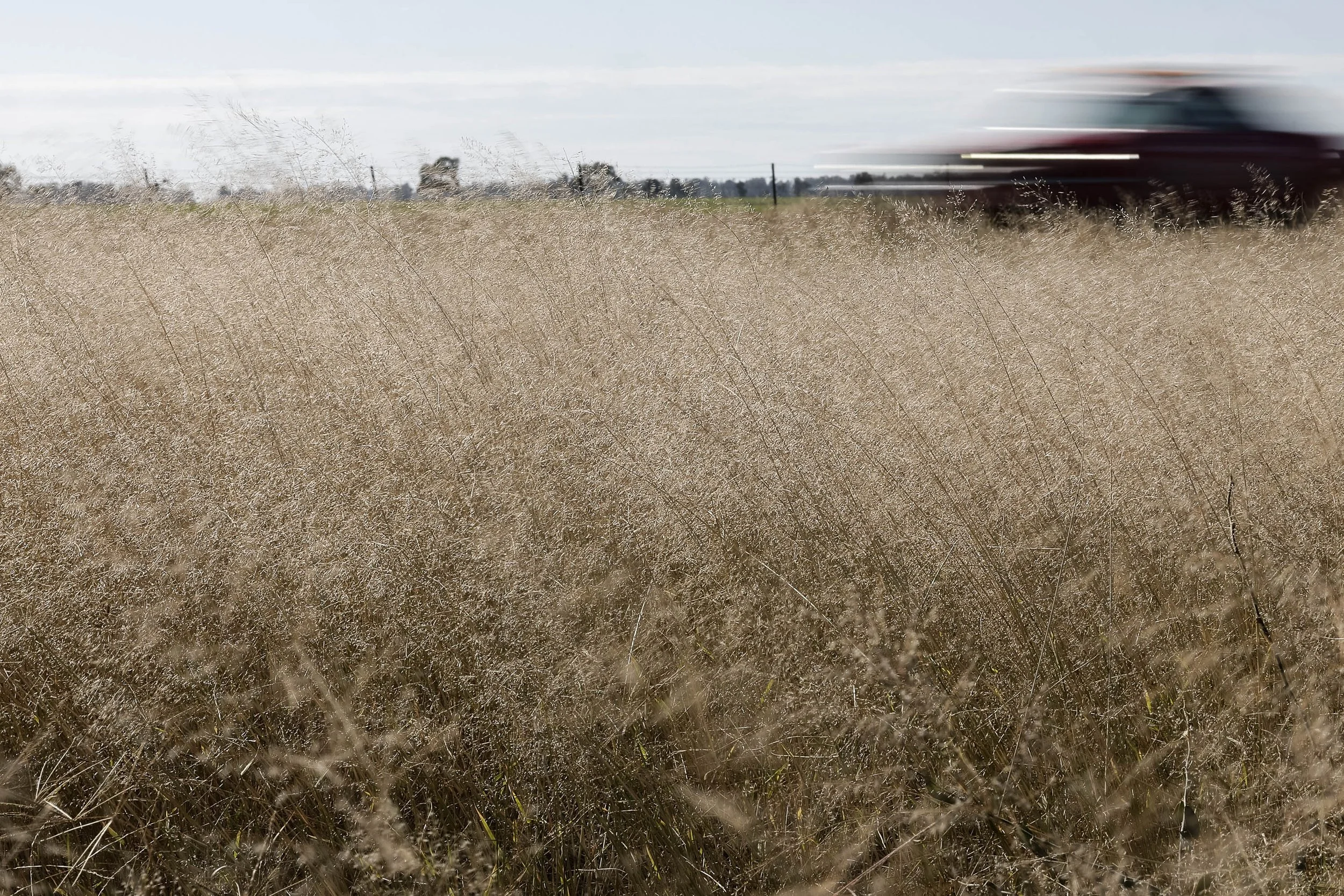 Day2 Dubbo_Bourke AMP-5881-2.jpg