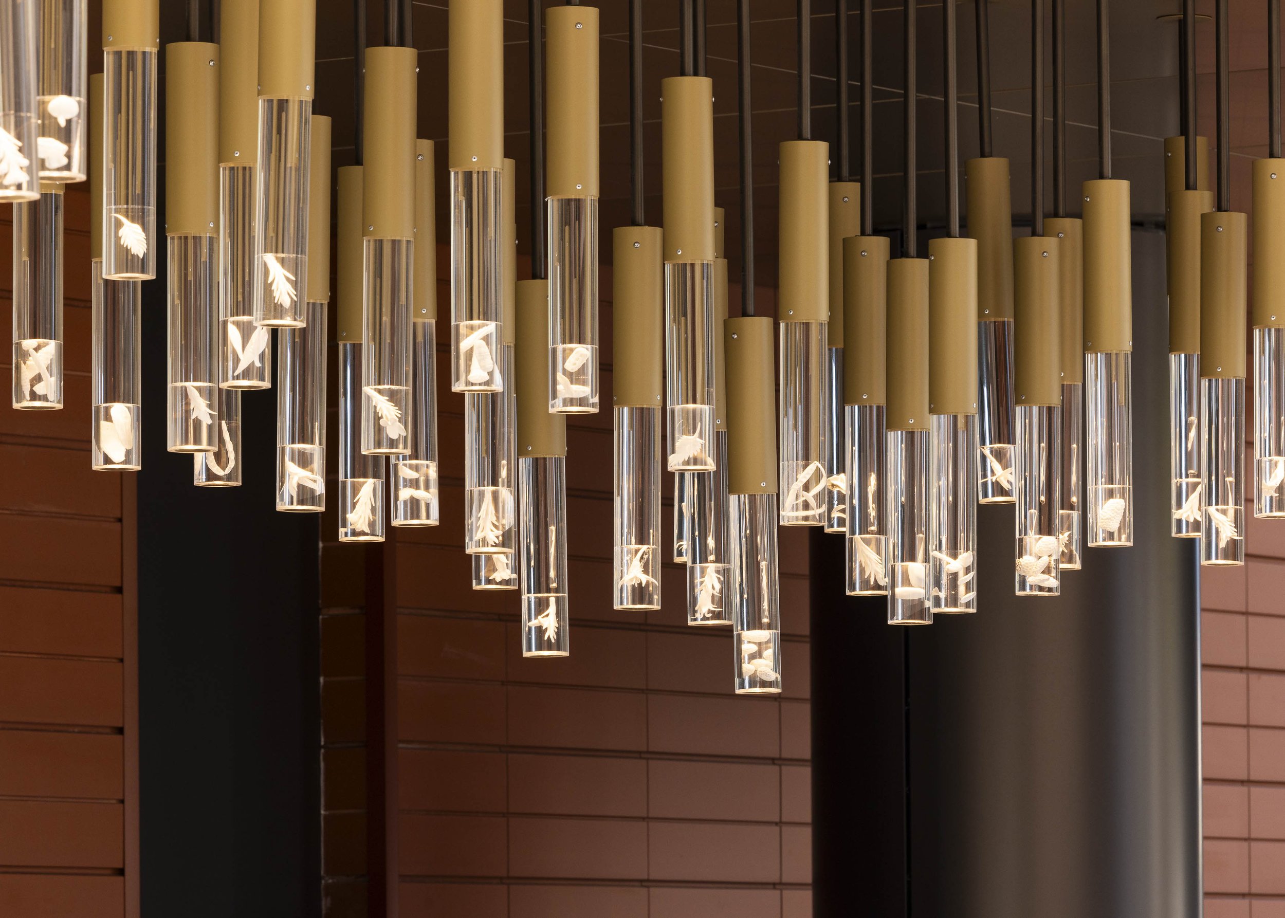 Charlie Parker-5337.jpg