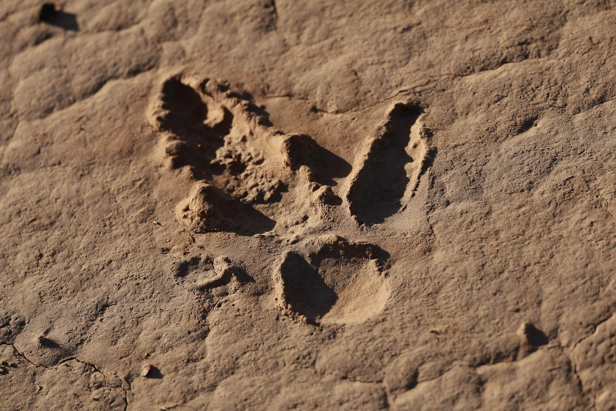 Day2 Dubbo_Bourke AMP-6269-2.jpg