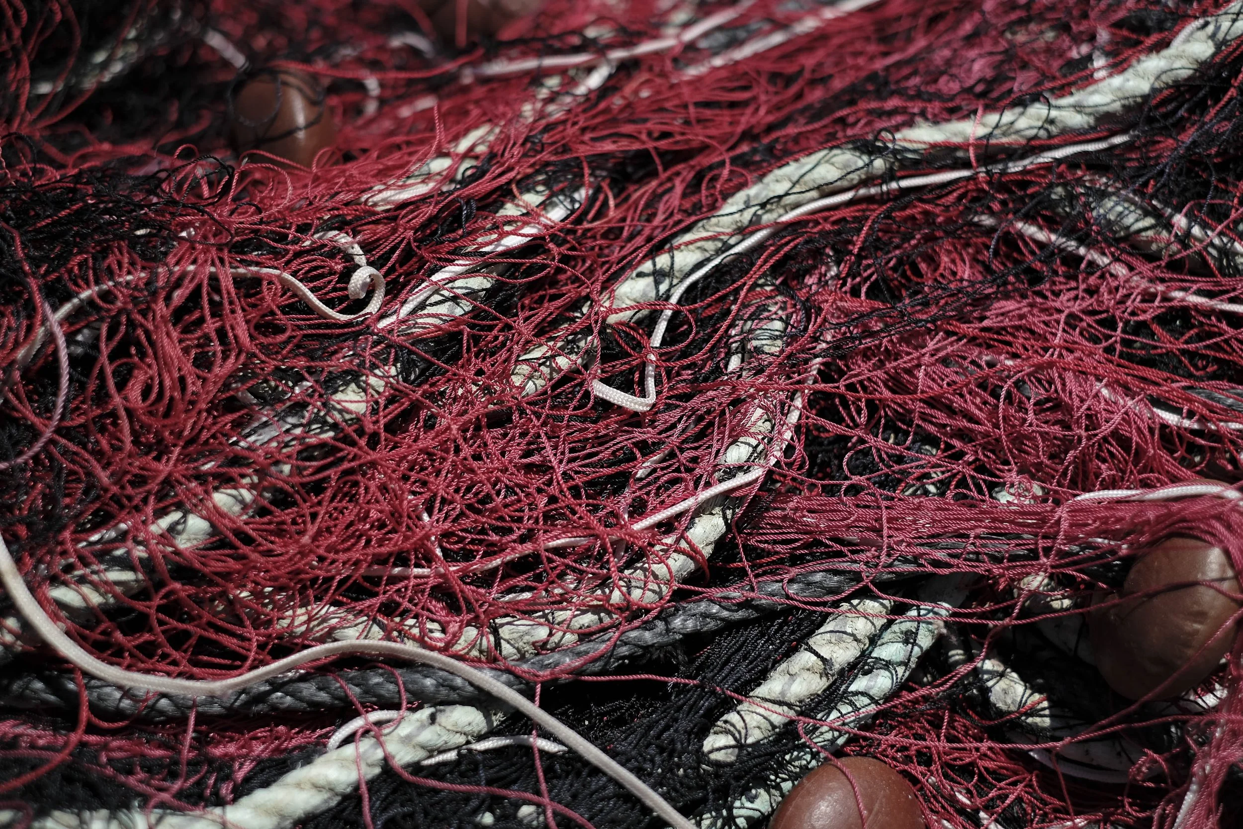 BWLX Day 4 Ajaccio-4520.jpg