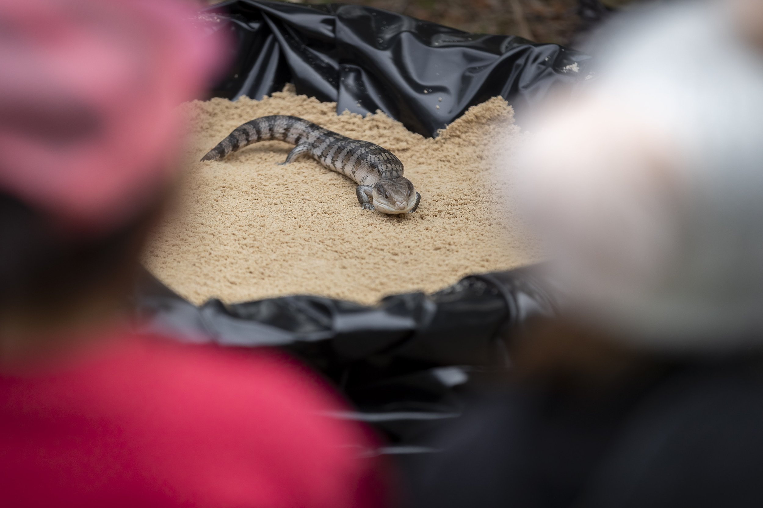 Ku_Ring_Gai Holiday Program-6862.jpg