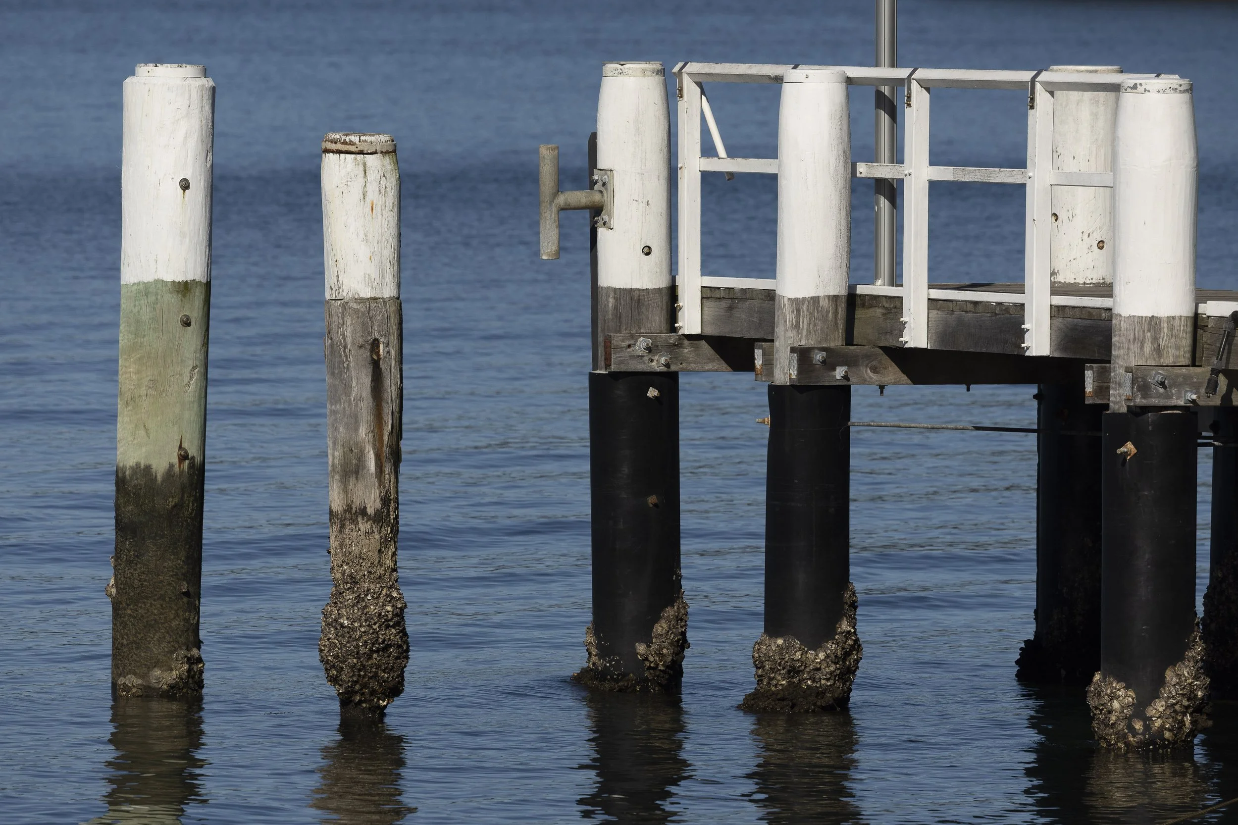 Currawong Beach Wharf-103.jpg