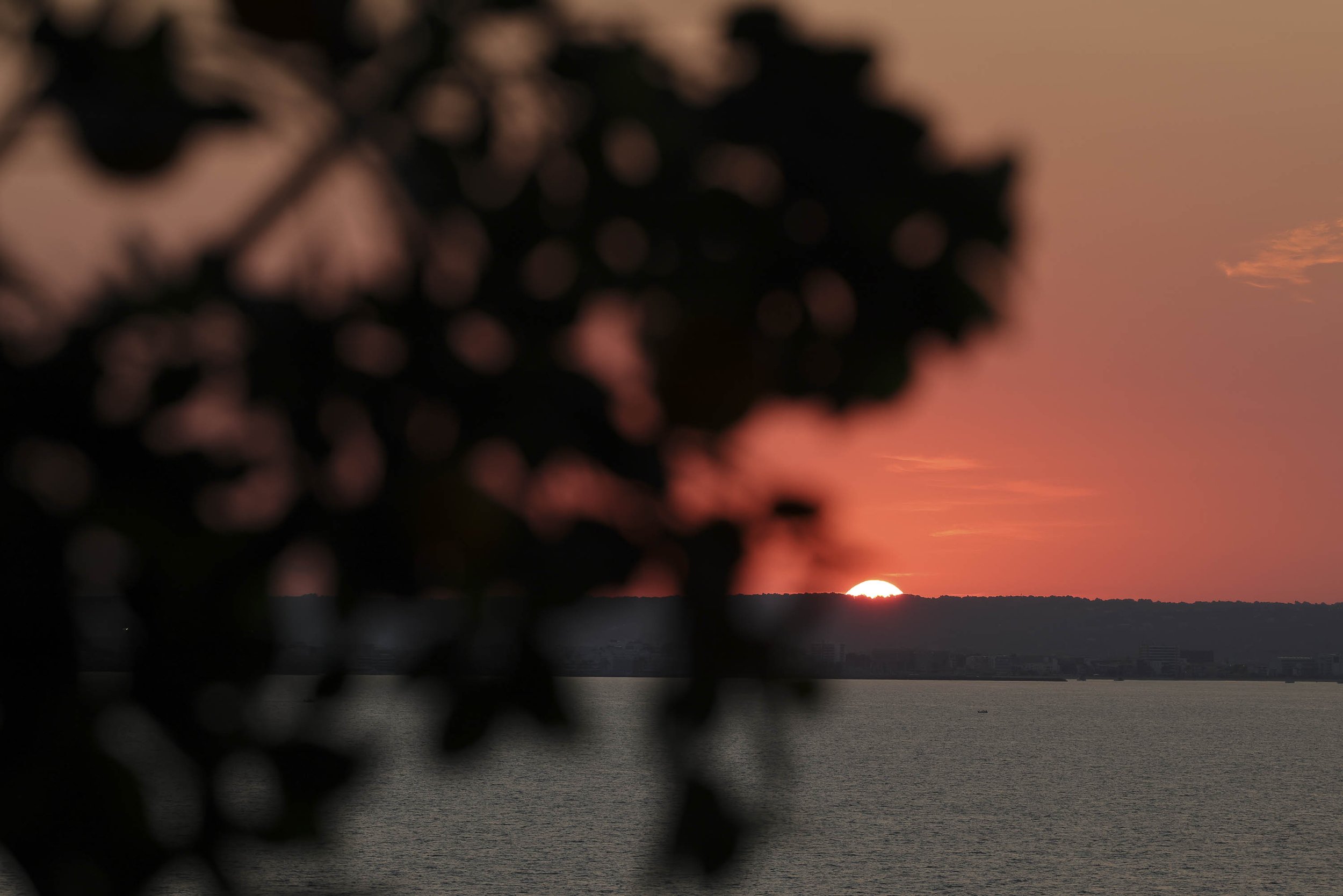 BWLX Day 6 Palma-2.jpg