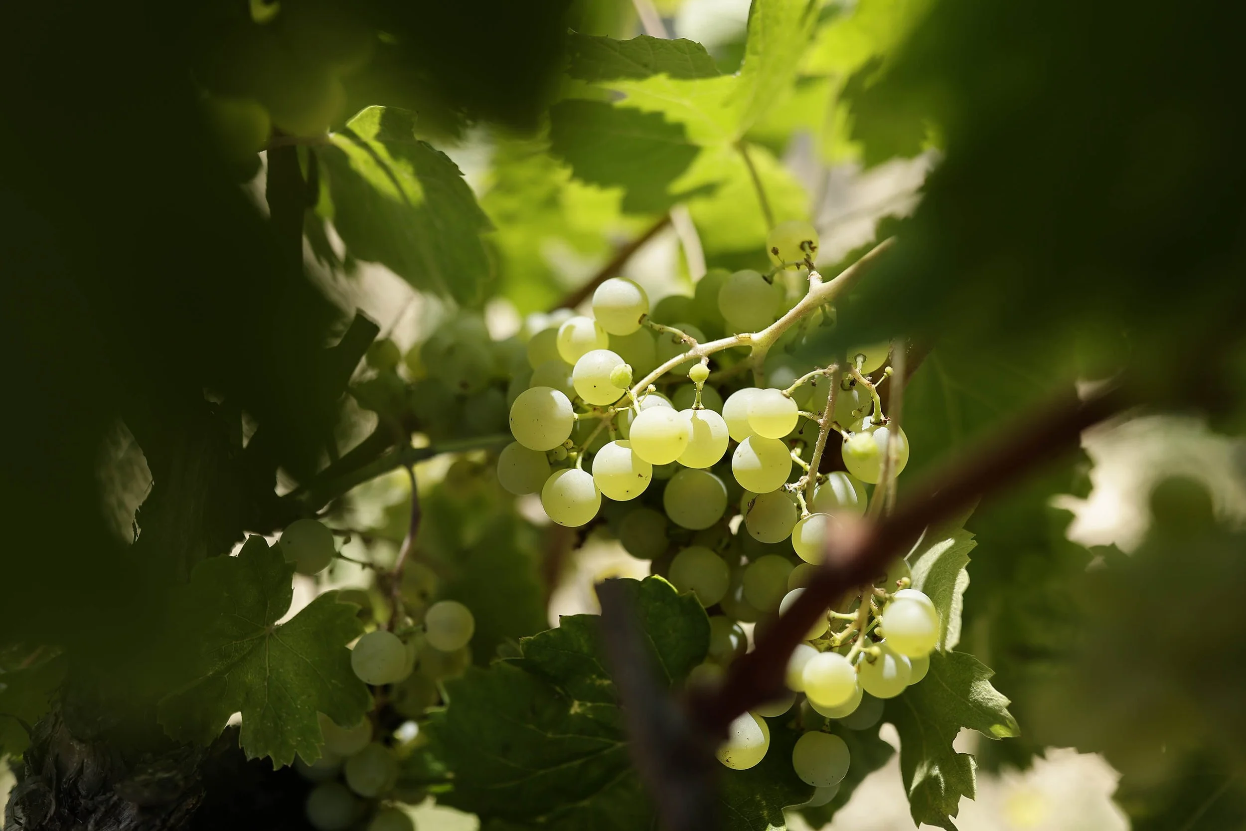 BWLX Day 10_11 Barcelona-9055.jpg