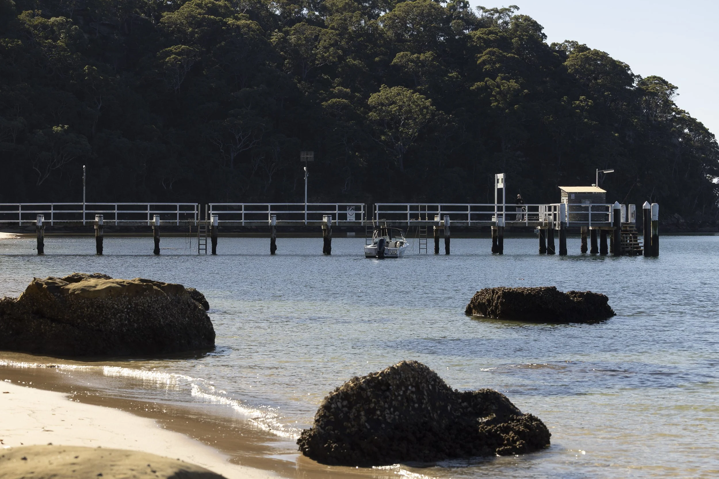 Currawong Beach Wharf-16.jpg