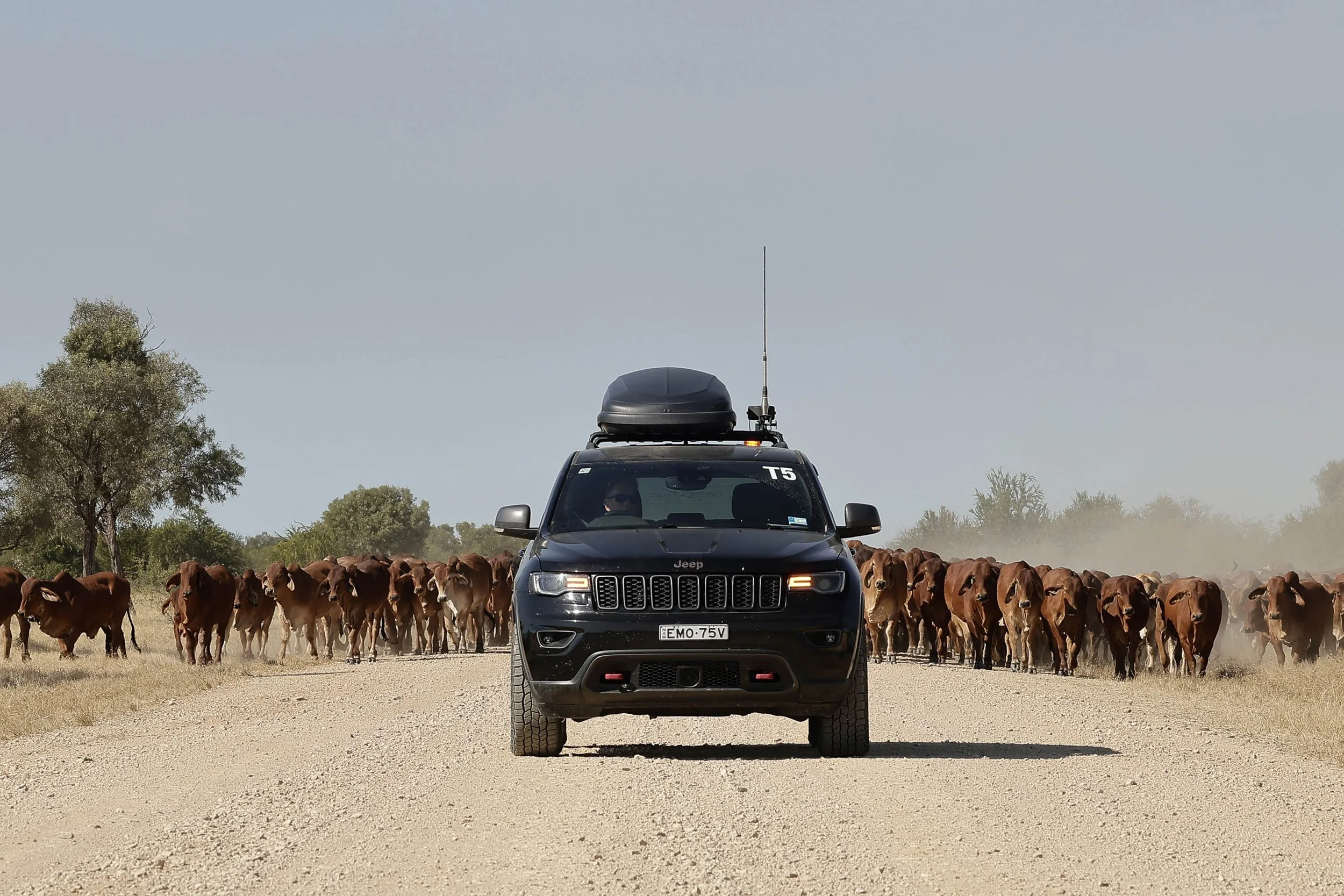 Day8 Julia Creek_Karumba Point AMP-4981-2.jpg