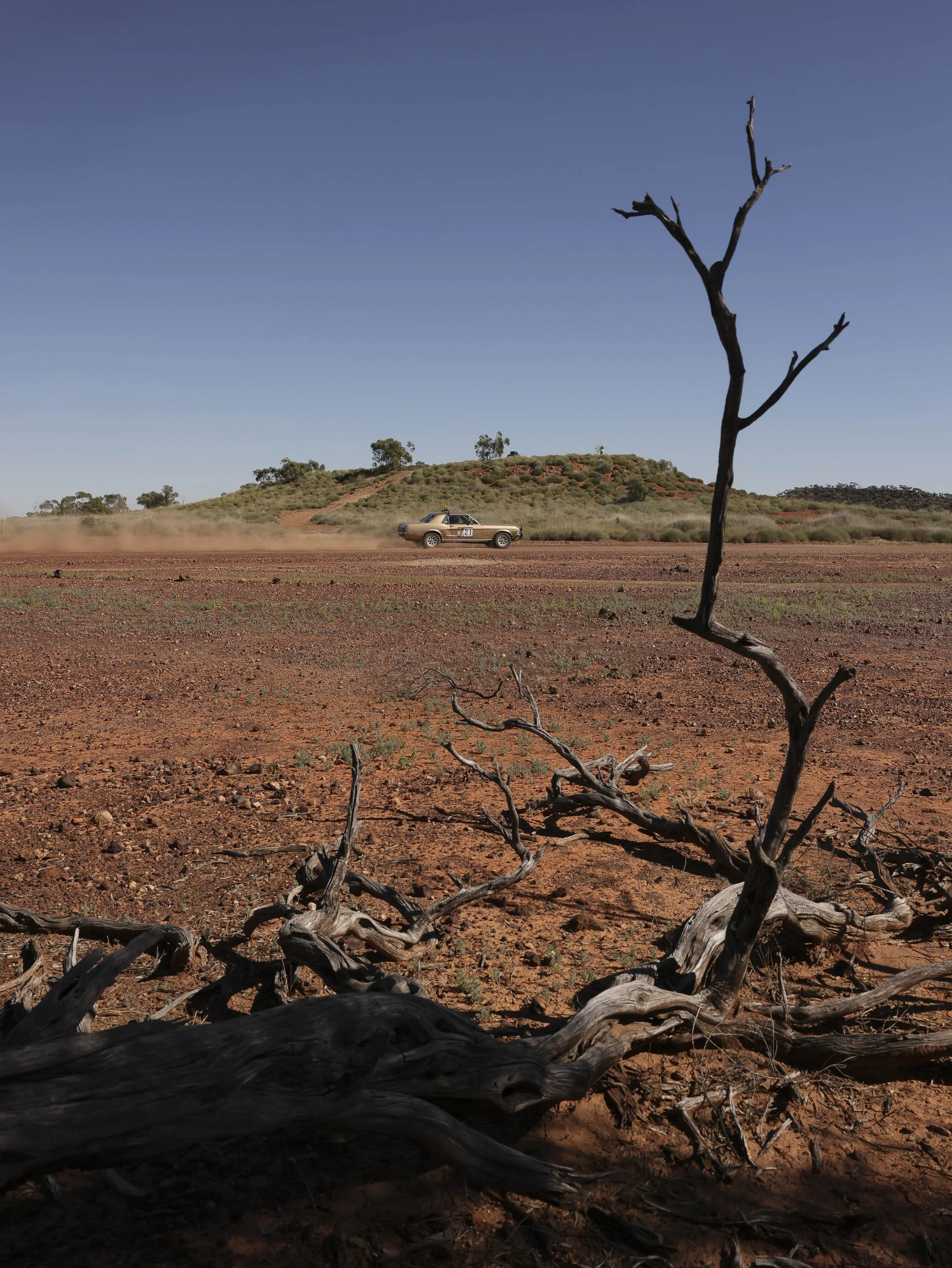 Day7 Longreach_Julia Creek AMP R5-9915-2.jpg