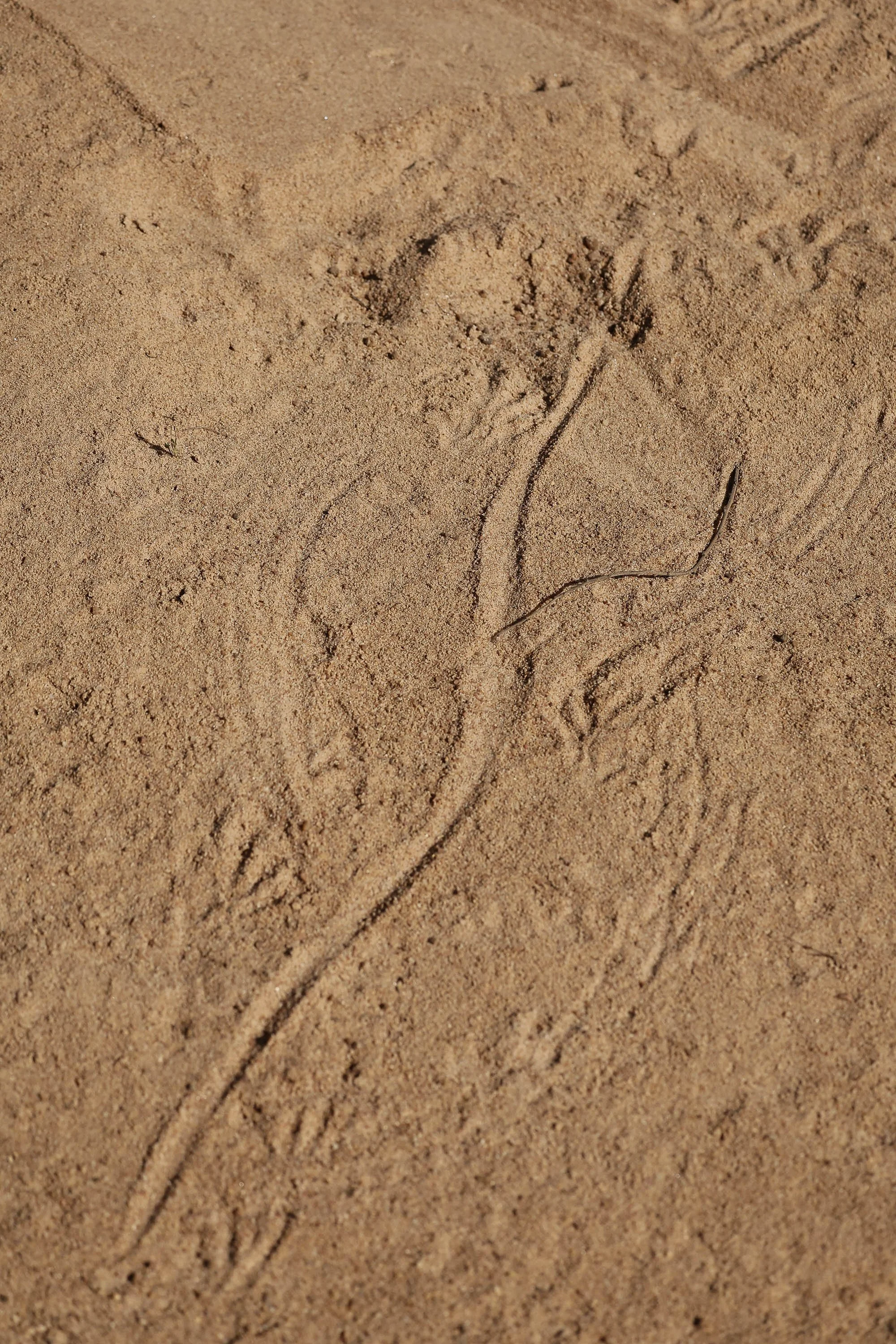 Day9 Karumba Point_Chillagoe AMP-1630-2.jpg