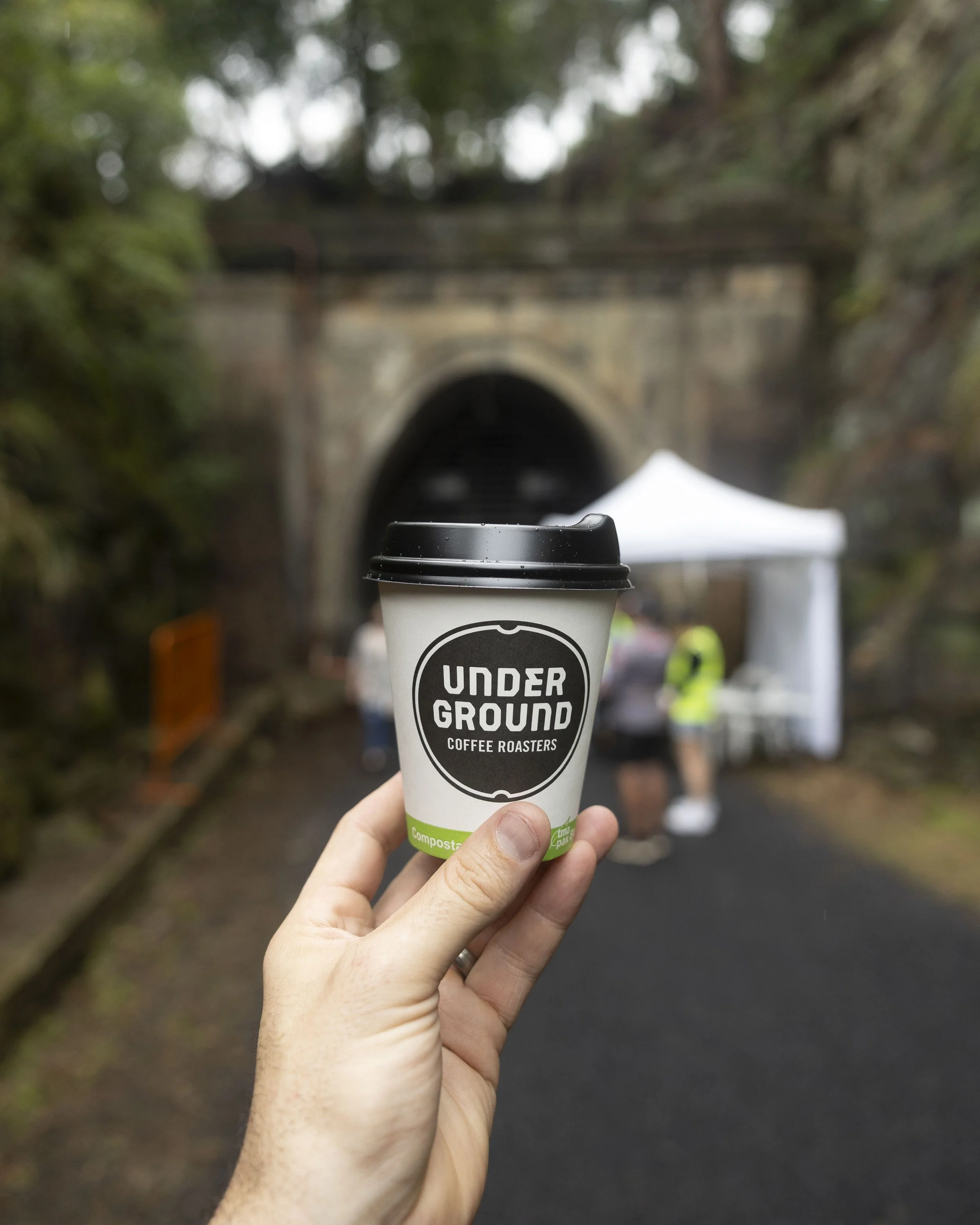 Lapstone Tunnel-9663.jpg