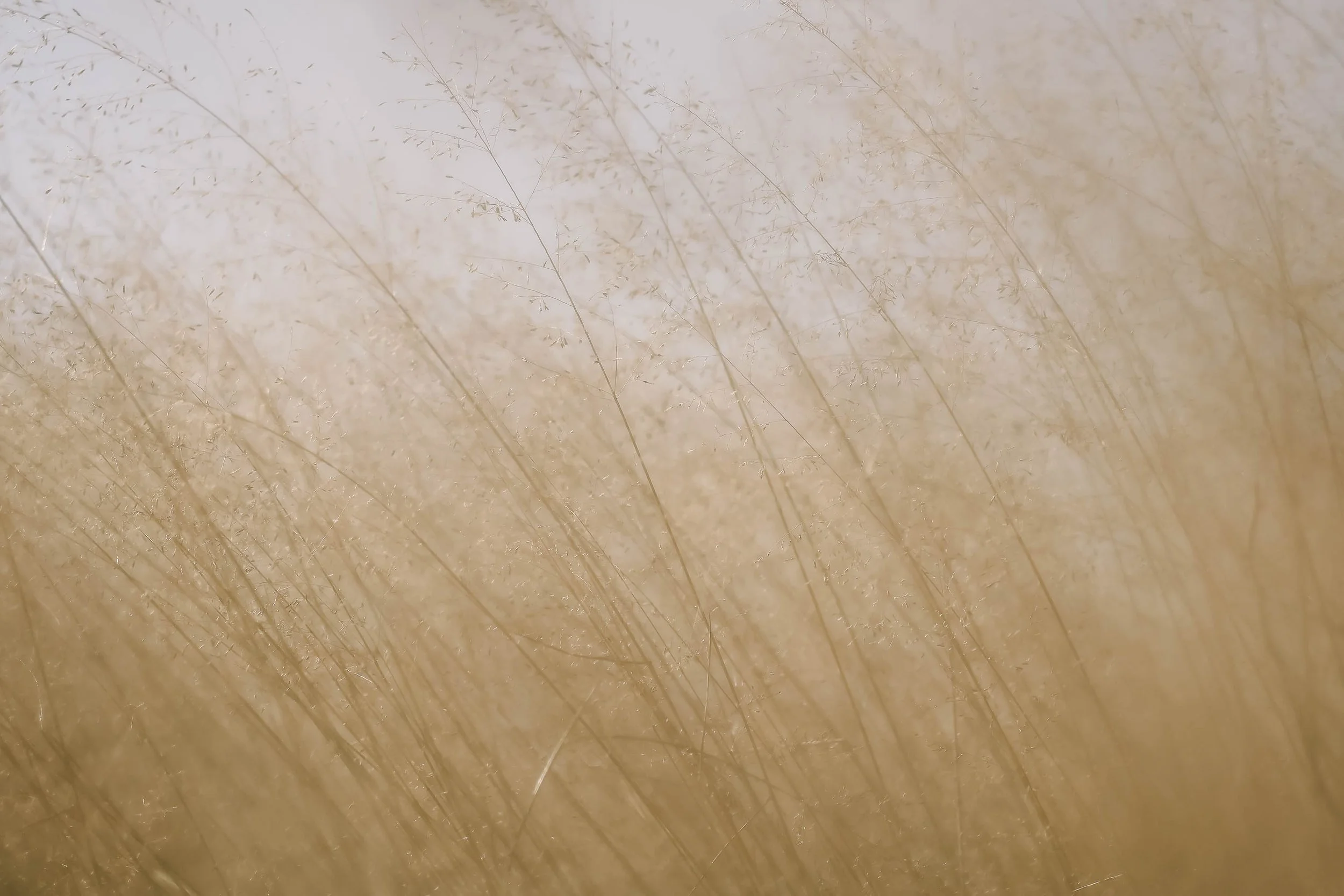 Day2 Dubbo_Bourke AMP-5879-2.jpg