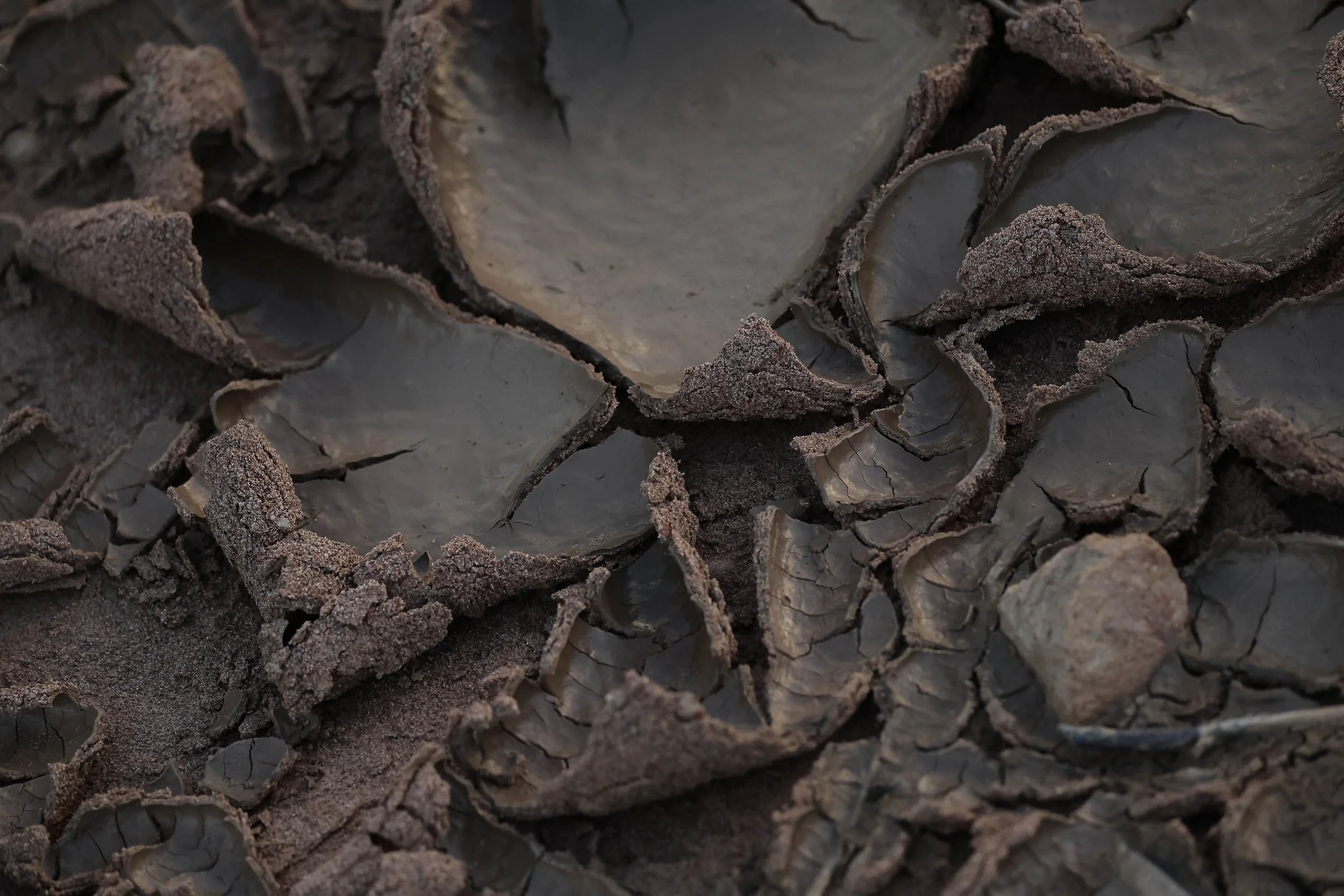 Day4 Cunnamulla_Quilpie AMP-1079-2.jpg