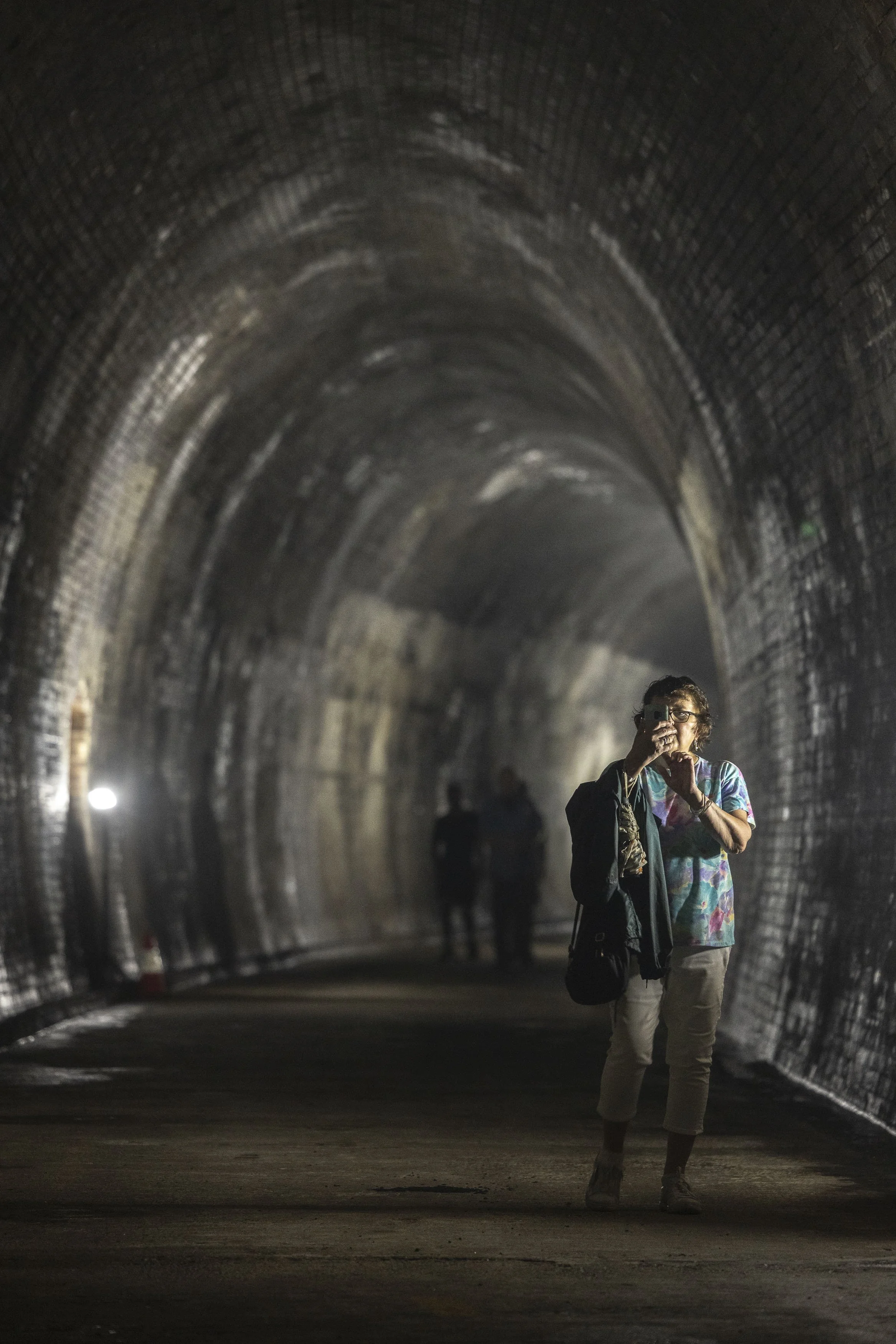 Lapstone Tunnel-1213.jpg