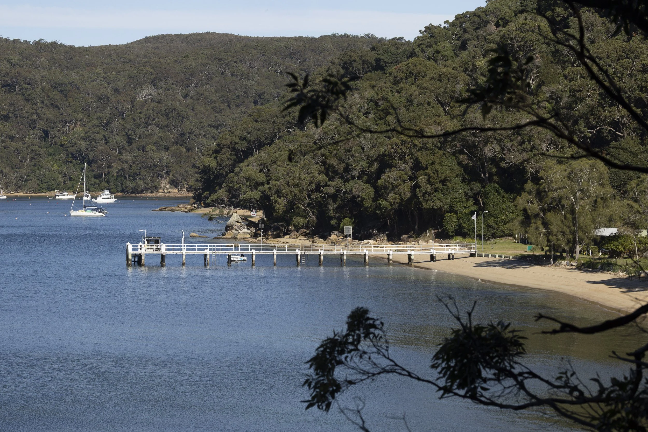 Currawong Beach Wharf-1.jpg