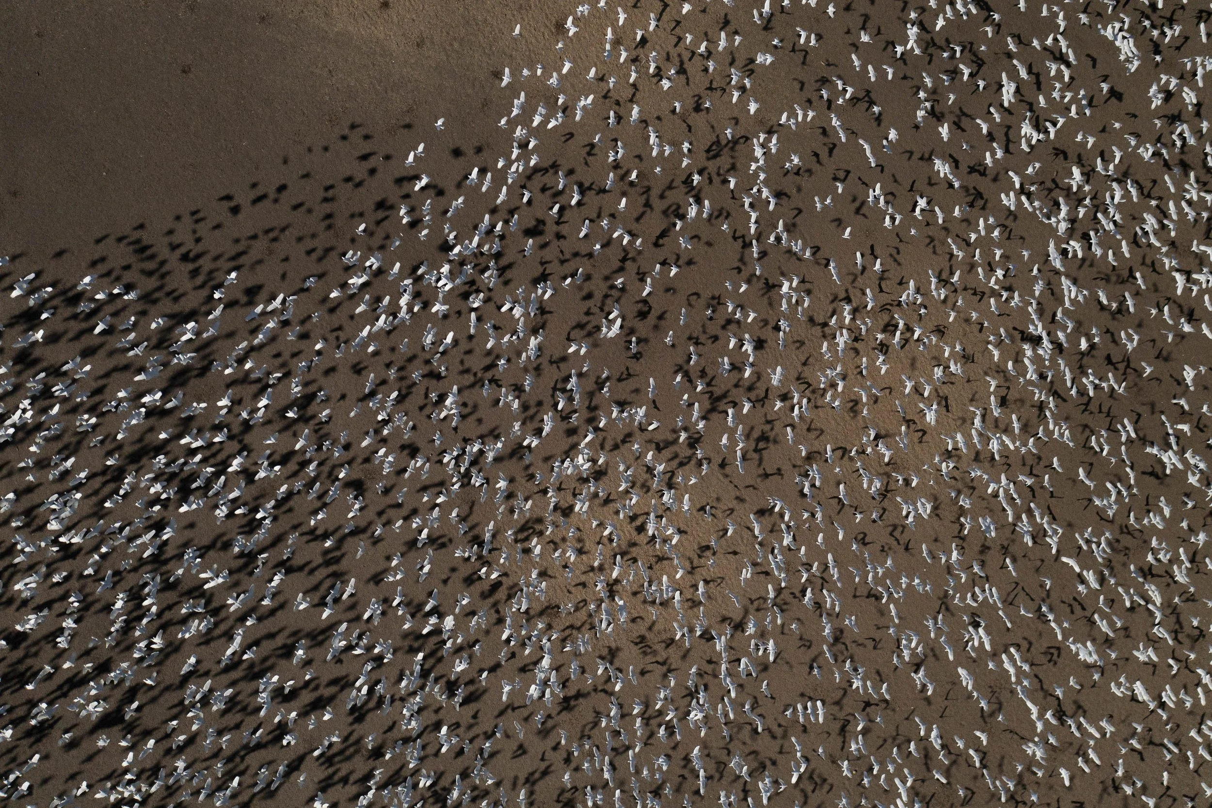 Day8 Julia Creek_Karumba Point Aerial AMP-0568-2.jpg