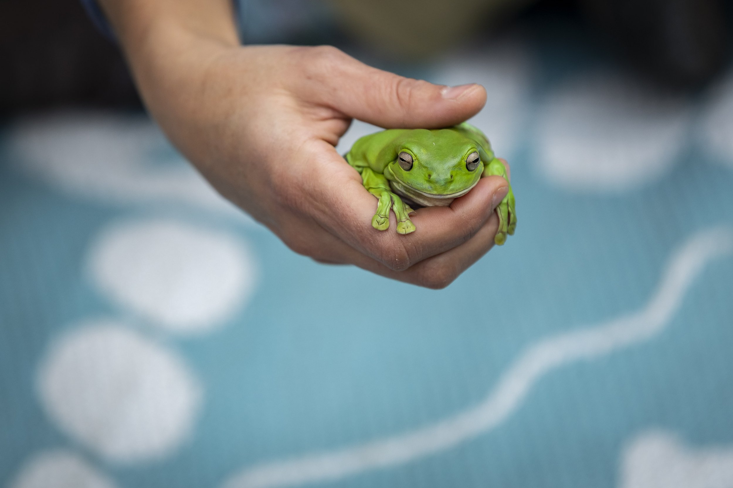 Ku_Ring_Gai Holiday Program-6522.jpg