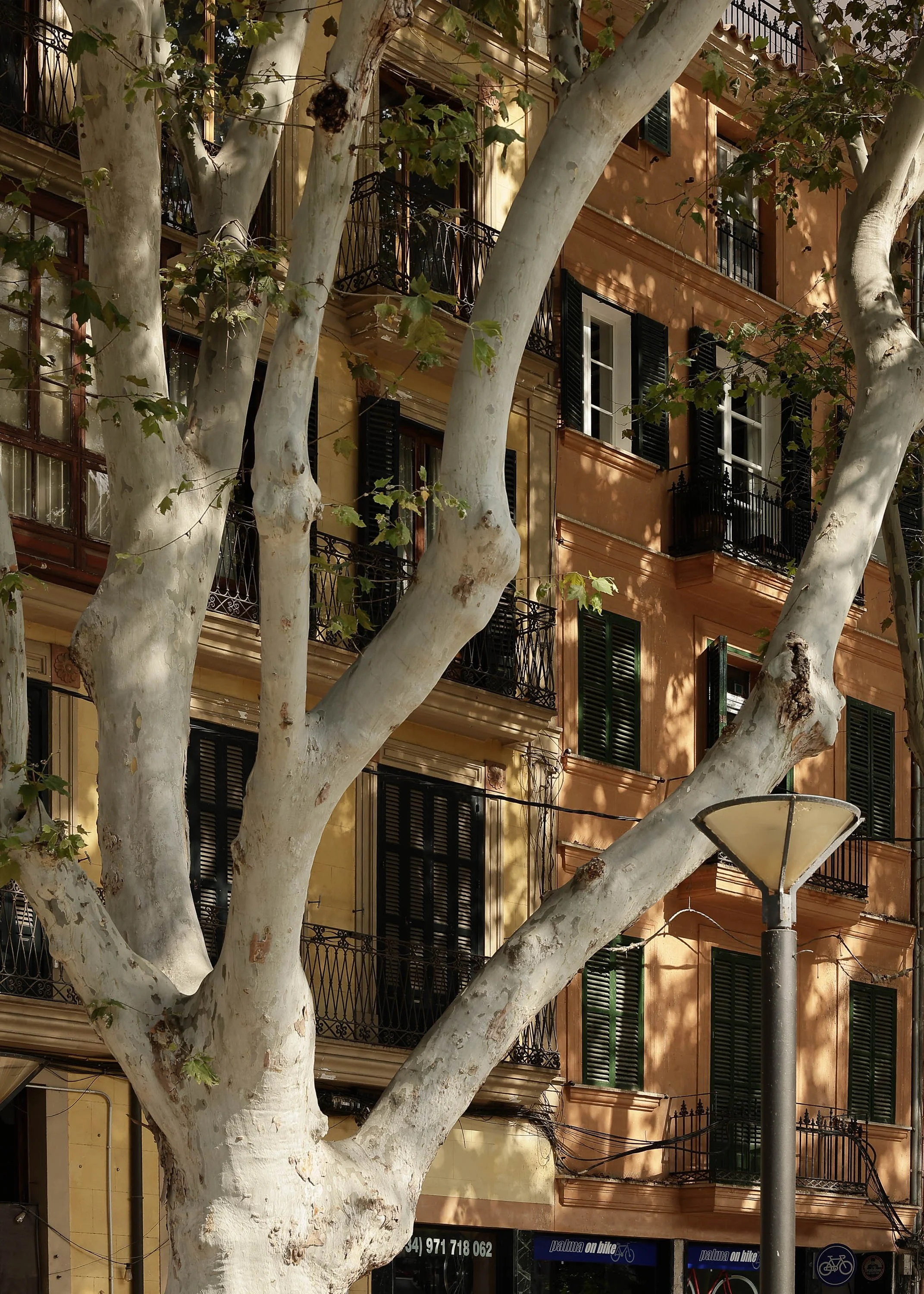 BWLX Day 6 Palma-84.jpg