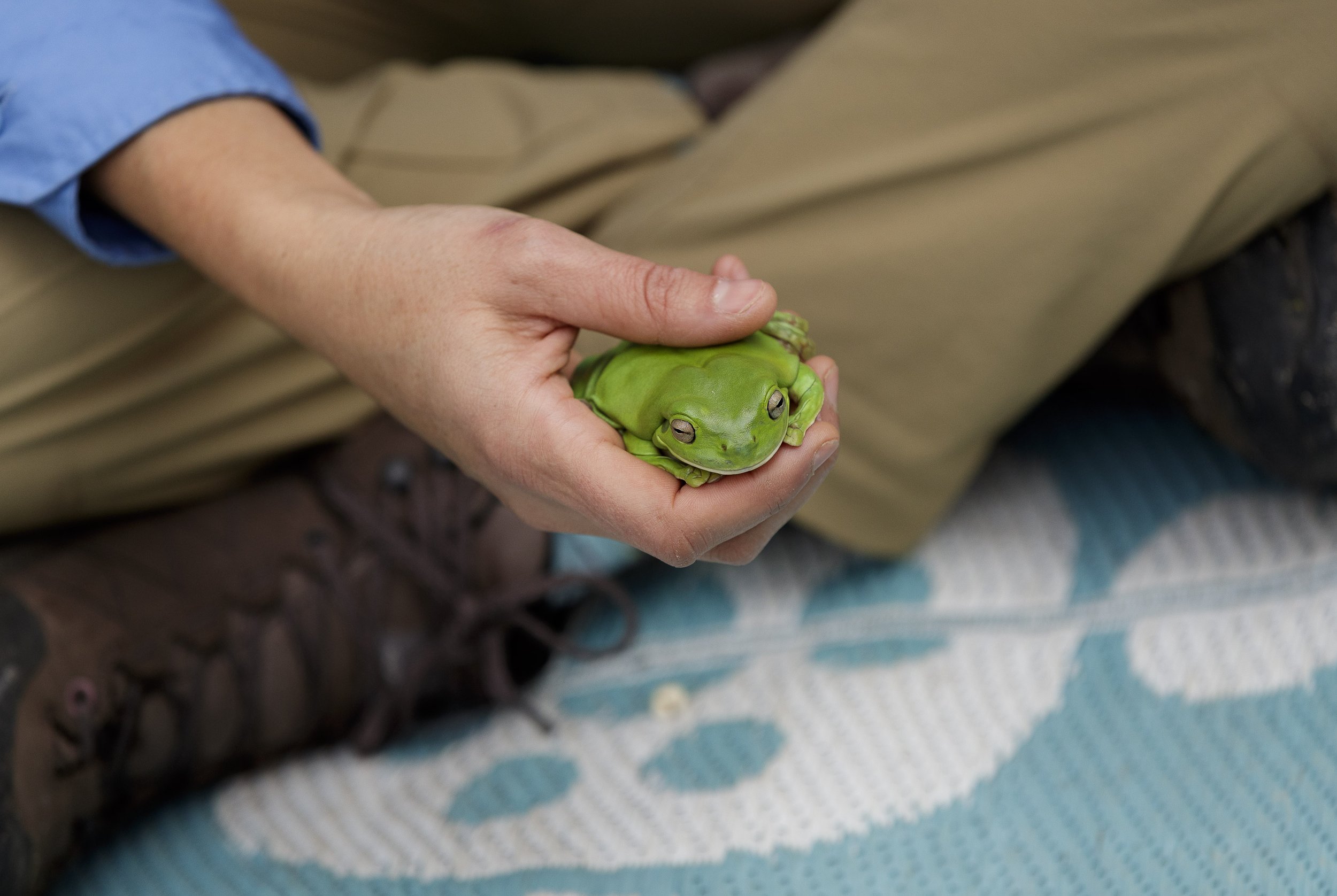 Ku_Ring_Gai Holiday Program-6526.jpg