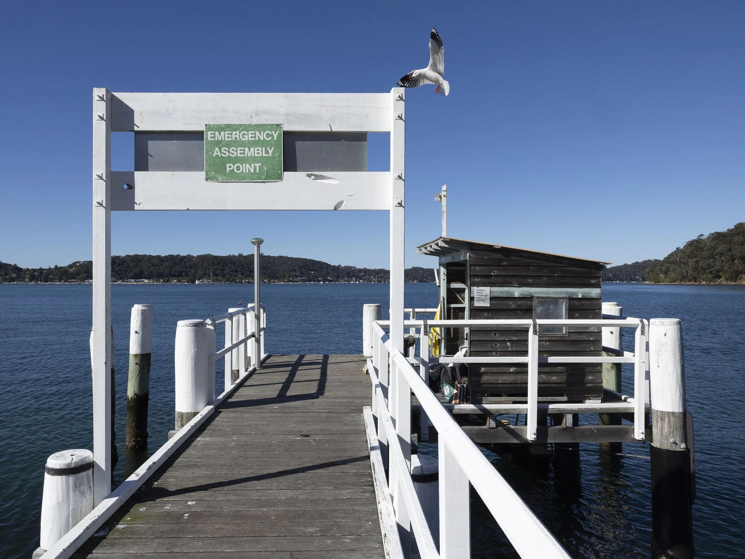 Currawong Beach Wharf-31.jpg