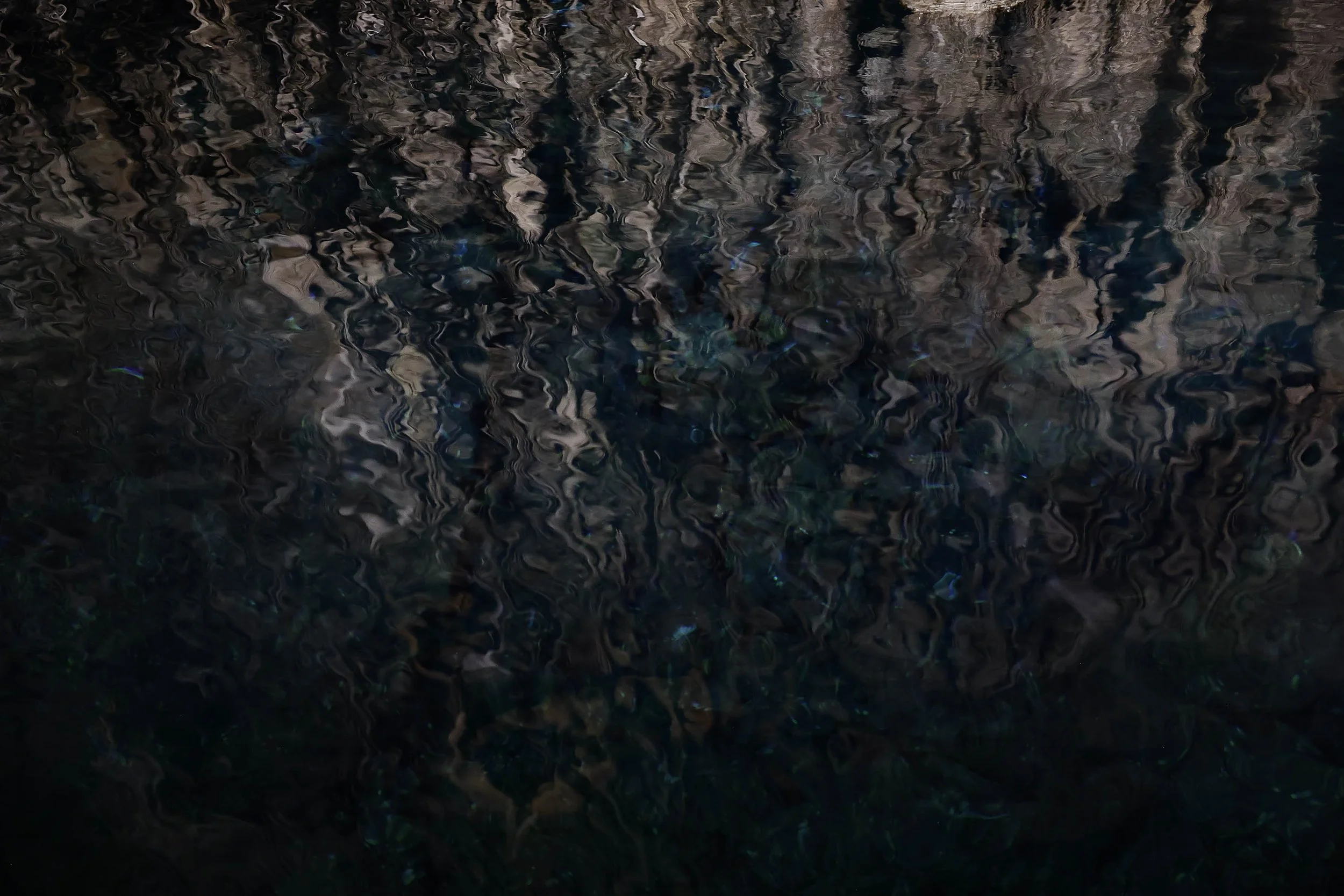 BWLX Day 7 Palma-26.jpg