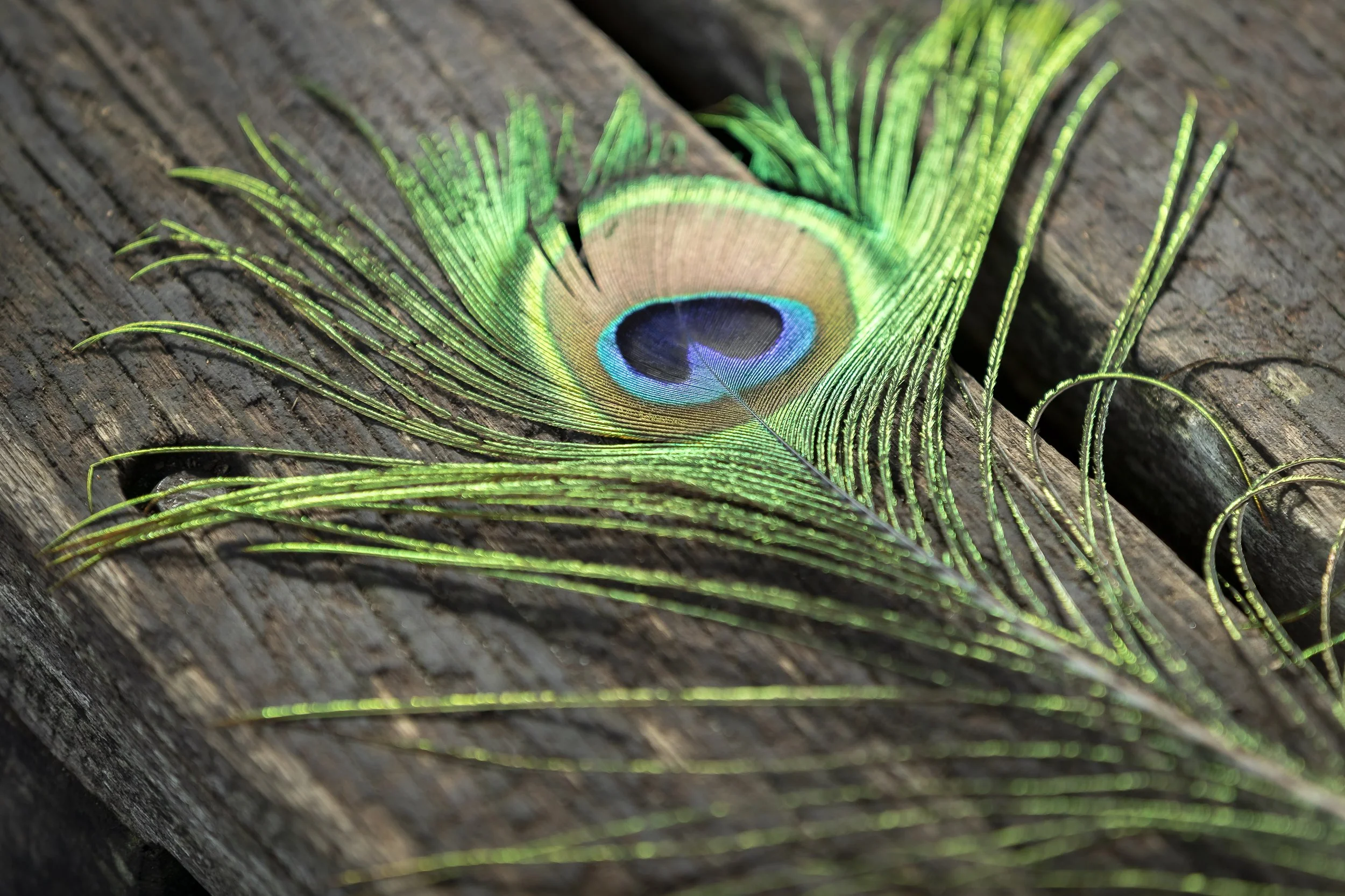 Ku_Ring_Gai Holiday Program-6779.jpg