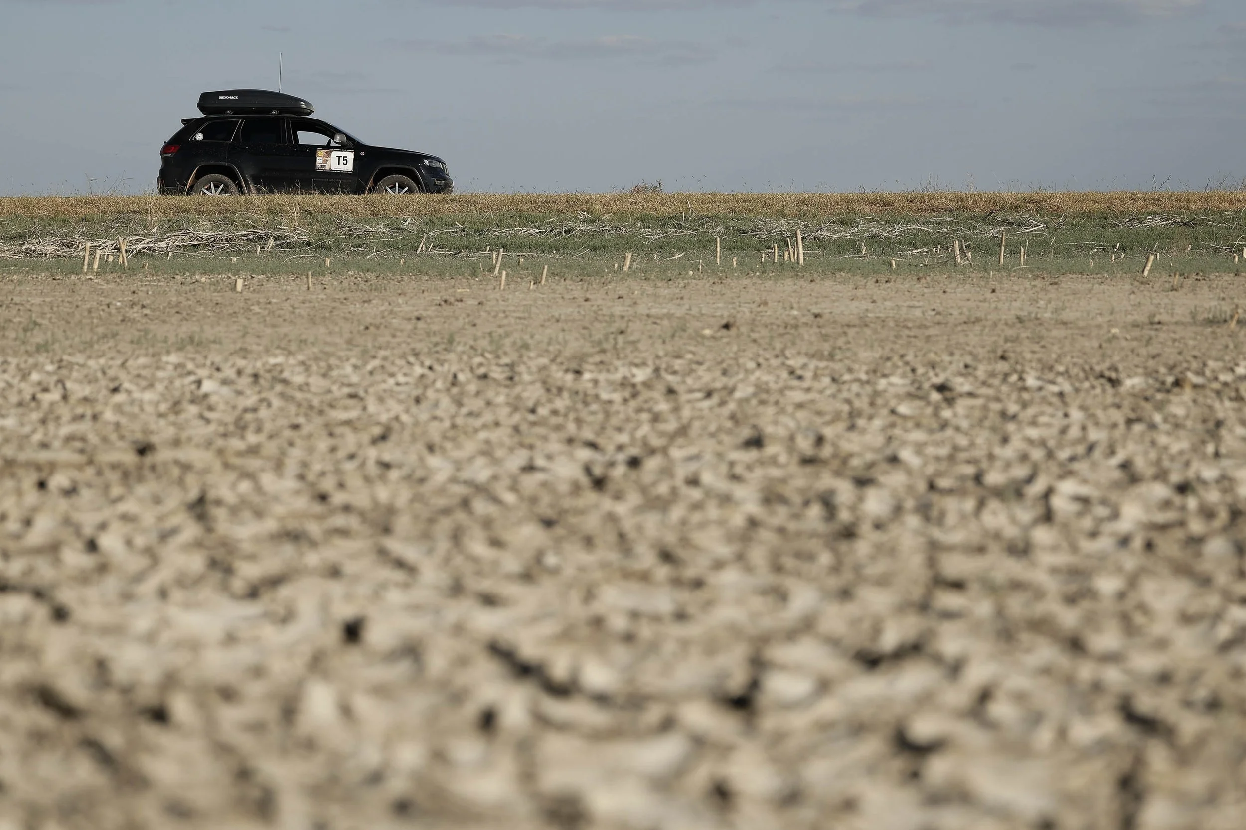 Day8 Julia Creek_Karumba Point AMP-7265-2.jpg