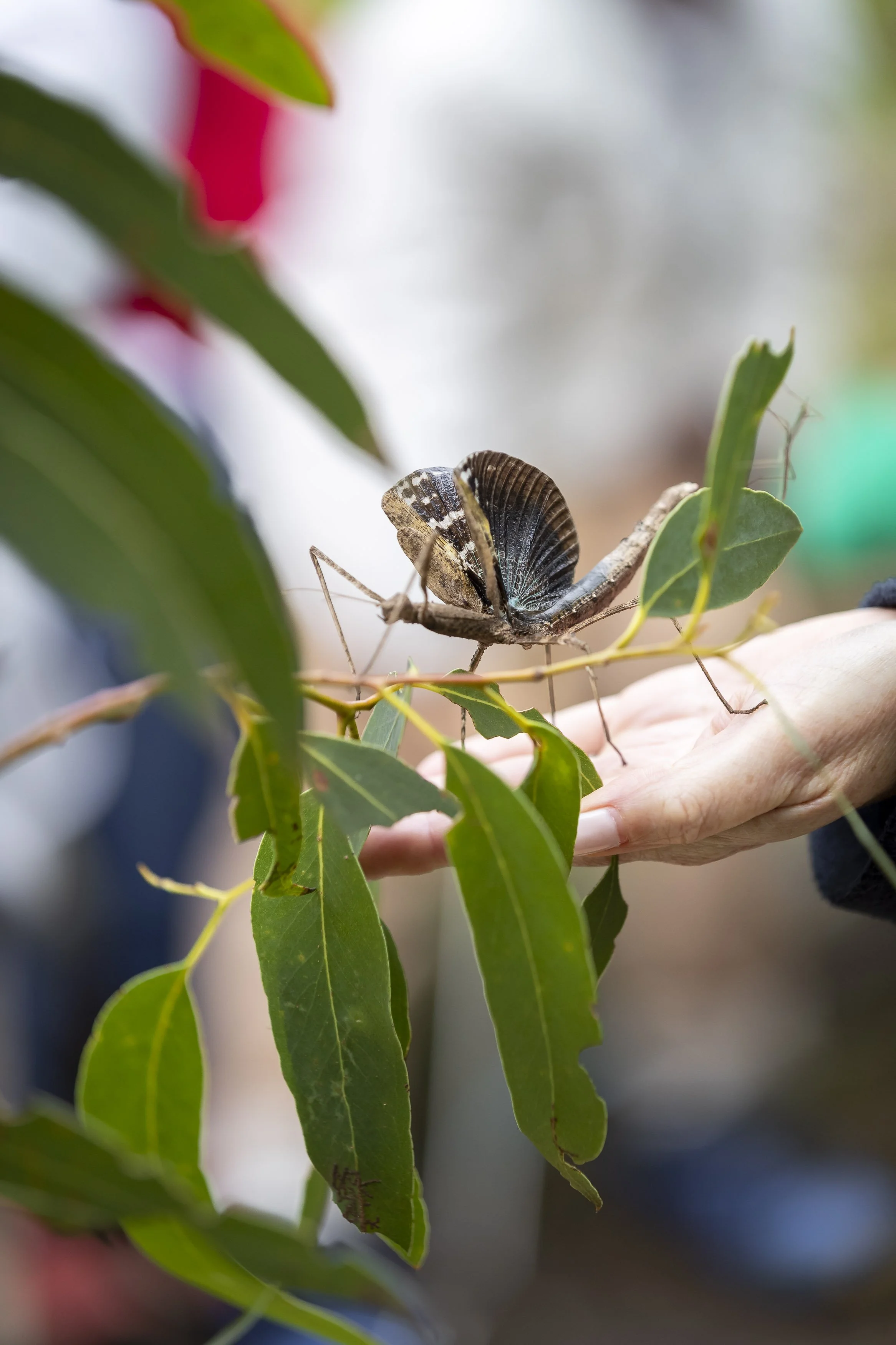 Ku_Ring_Gai Holiday Program-6923.jpg