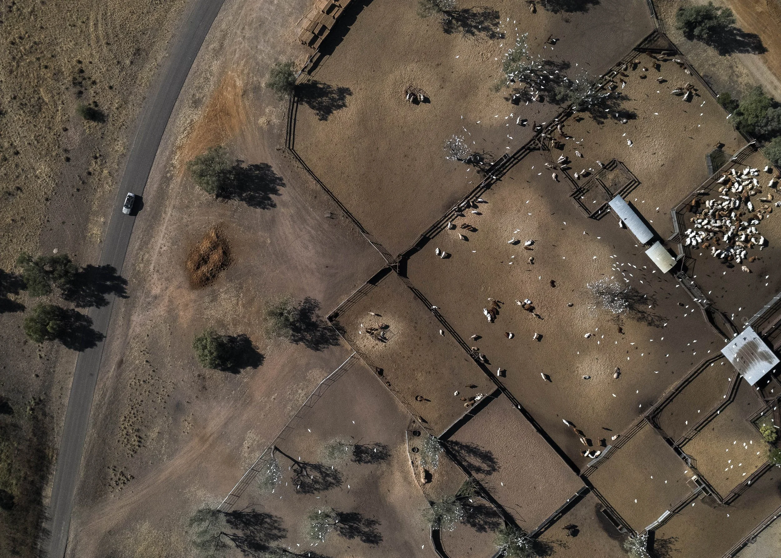 Day8 Julia Creek_Karumba Point Aerial AMP-0546-2.jpg