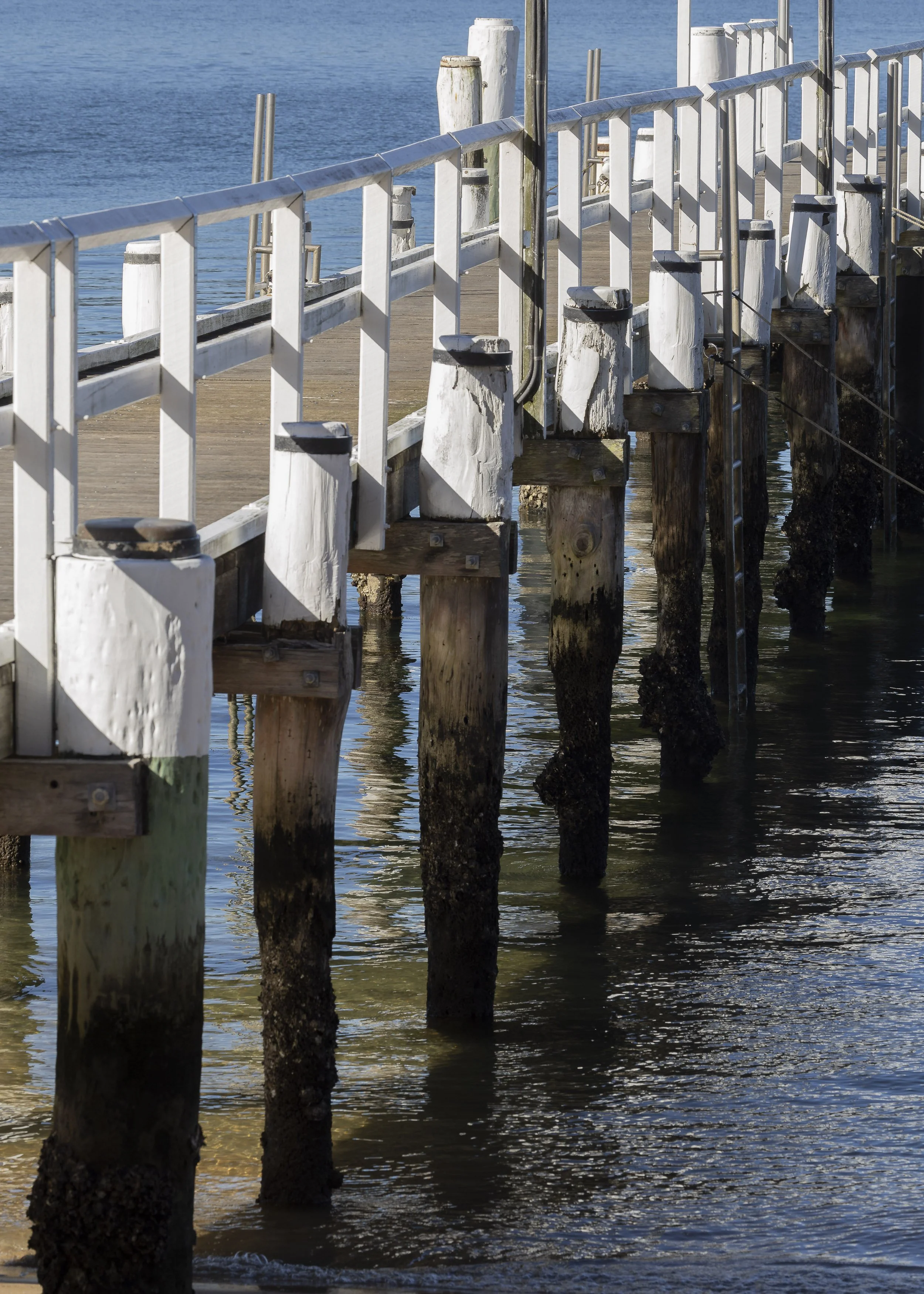 Currawong Beach Wharf-97.jpg