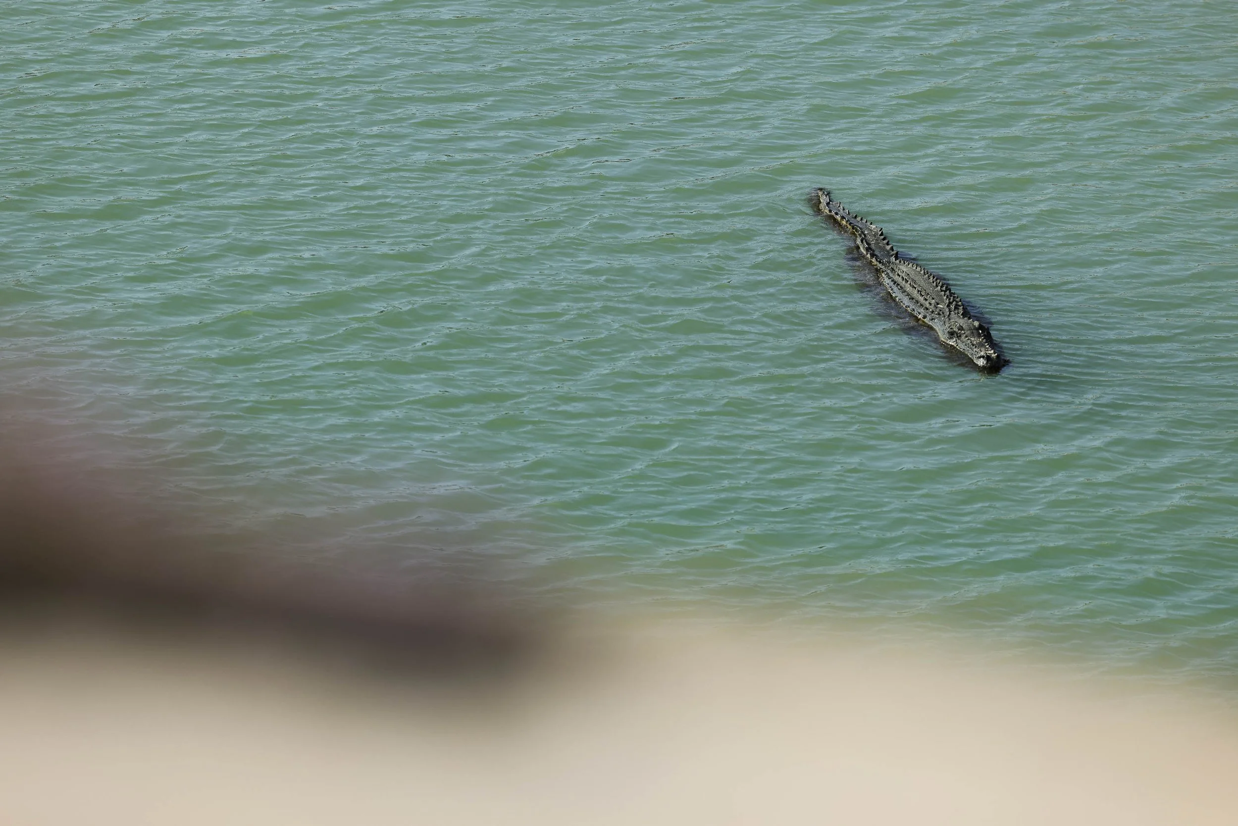 BWLX Day 6 Palma-50.jpg