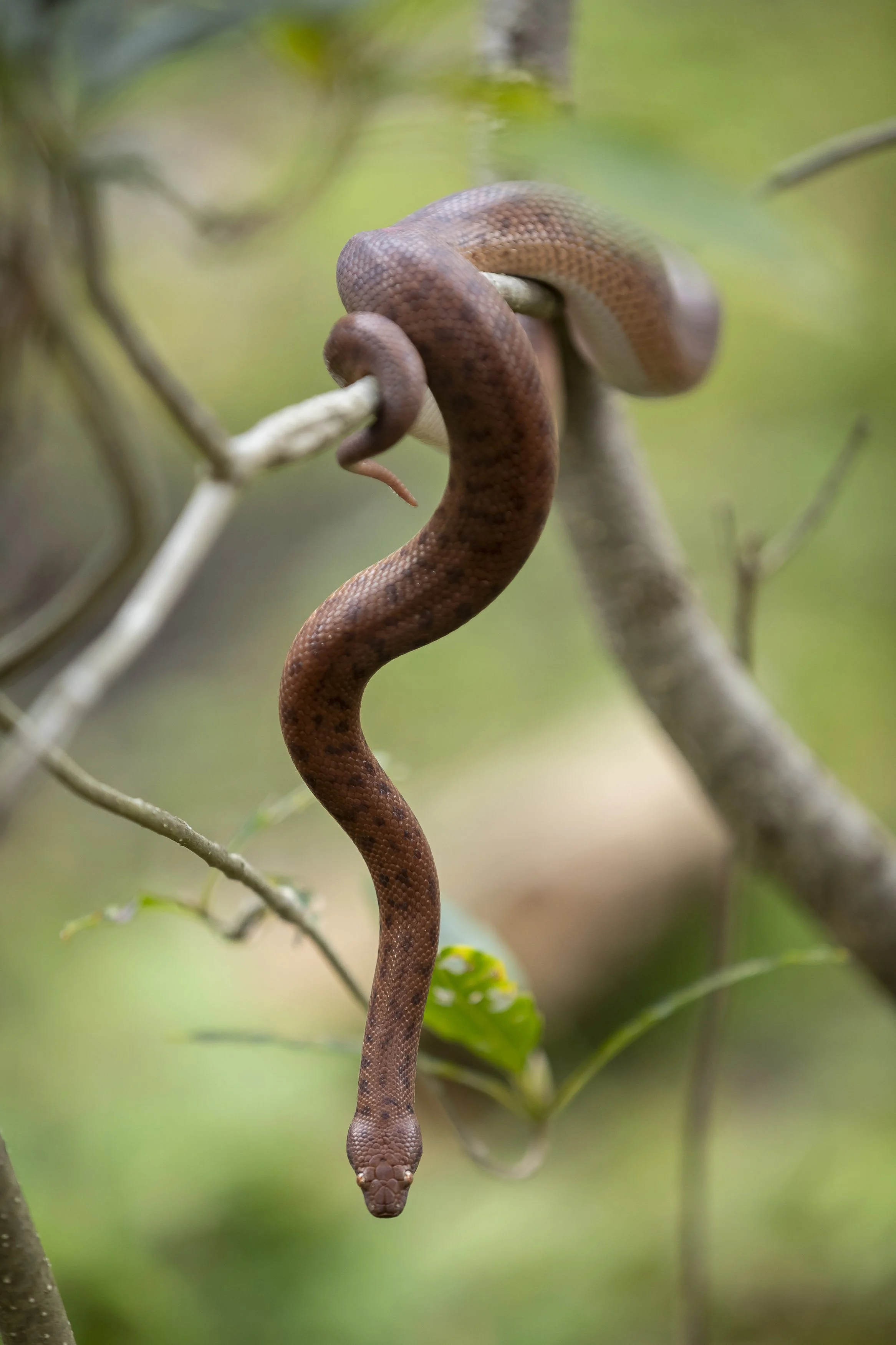 Ku_Ring_Gai Holiday Program-6851.jpg