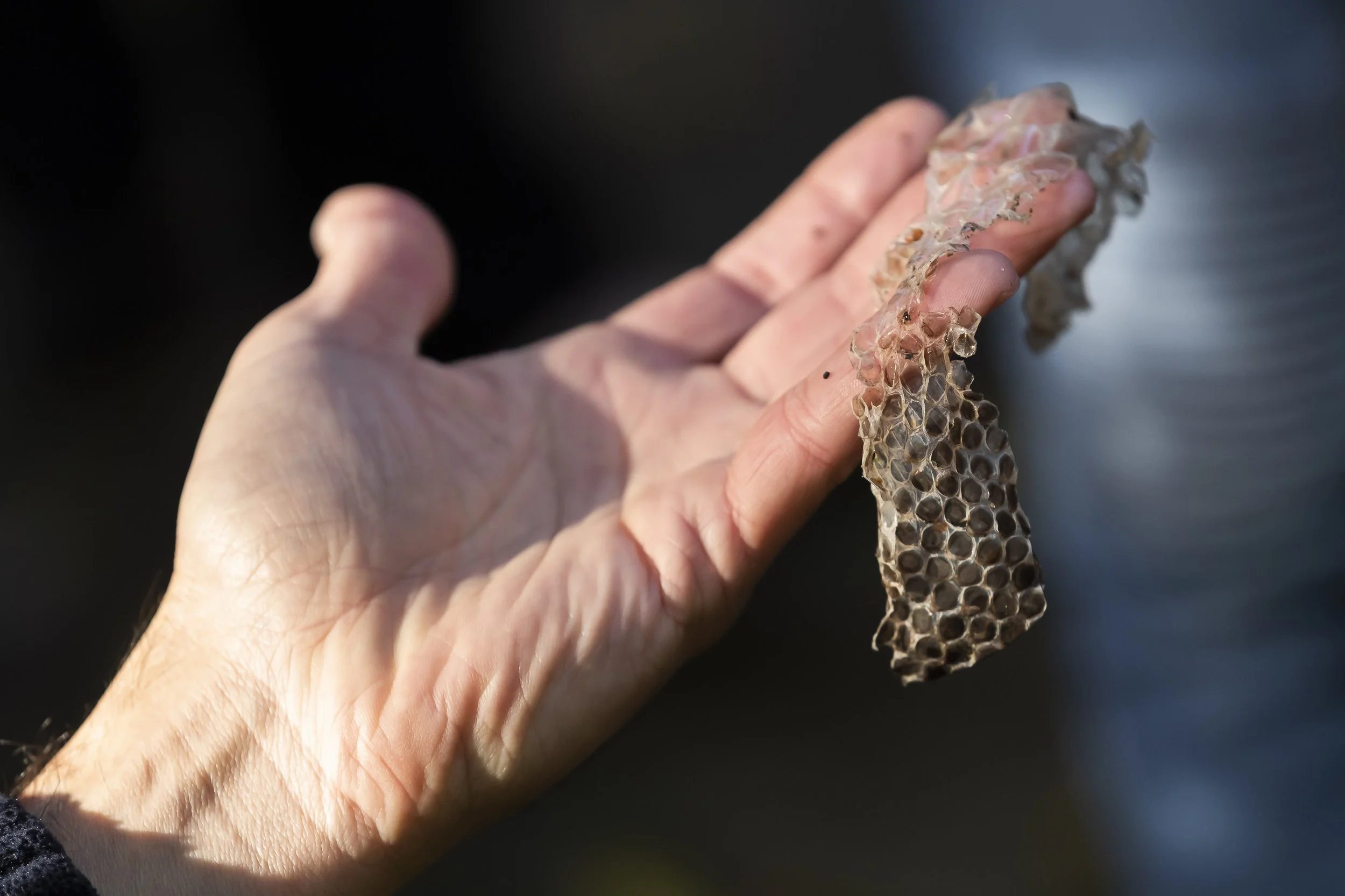 Ku_Ring_Gai Holiday Program-6068.jpg