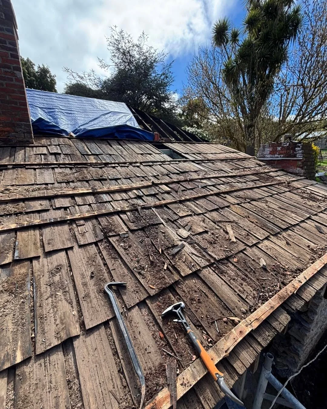 Working out what the roof shingles can be reused for. Maybe a kitchen range hood or panelling a storage nook. Beautiful to look at even after its years of sitting under the corroding iron sheets. Simple back then. Work with what you got. Use proper m