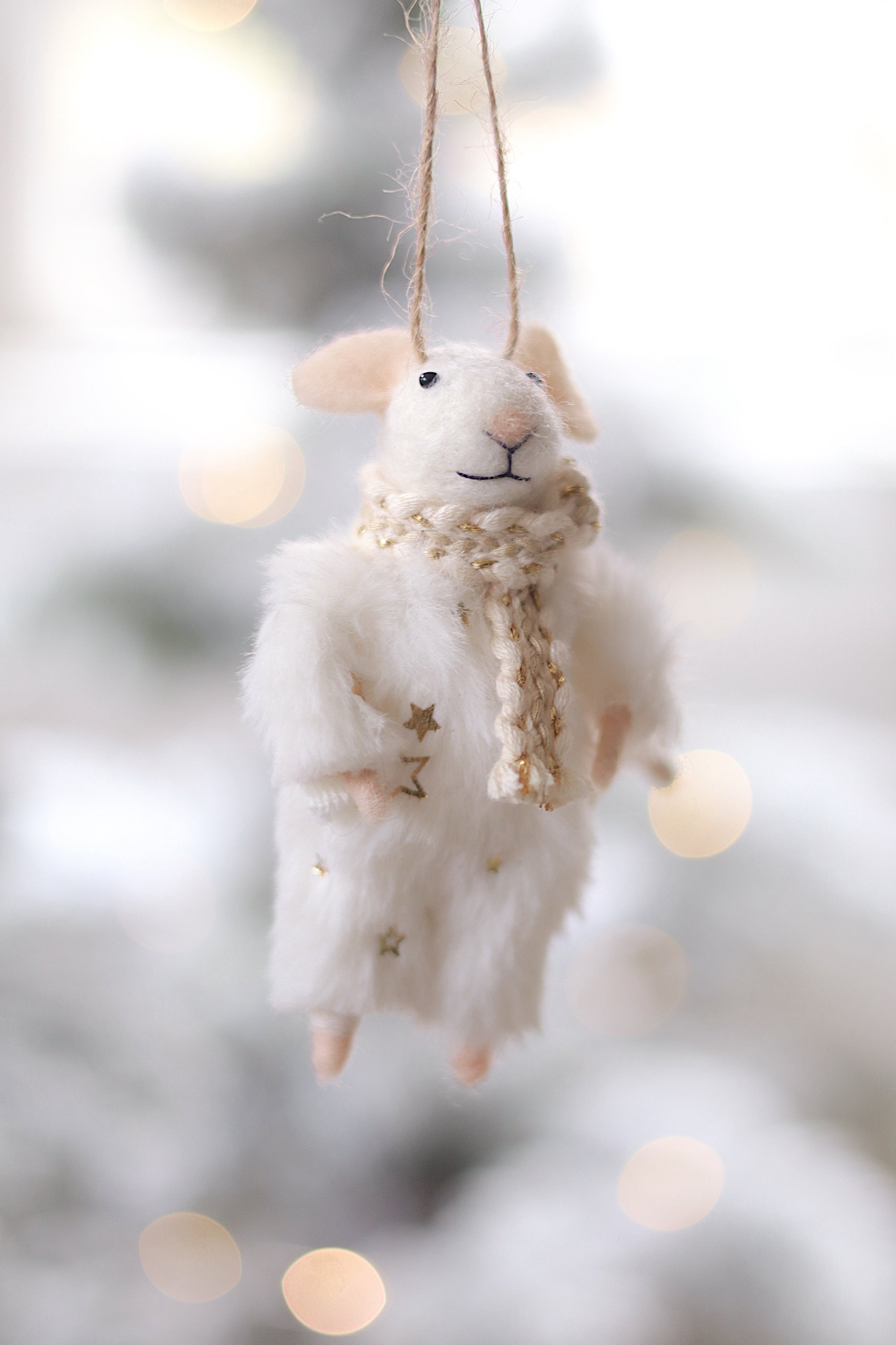 5-1965_1.JPG